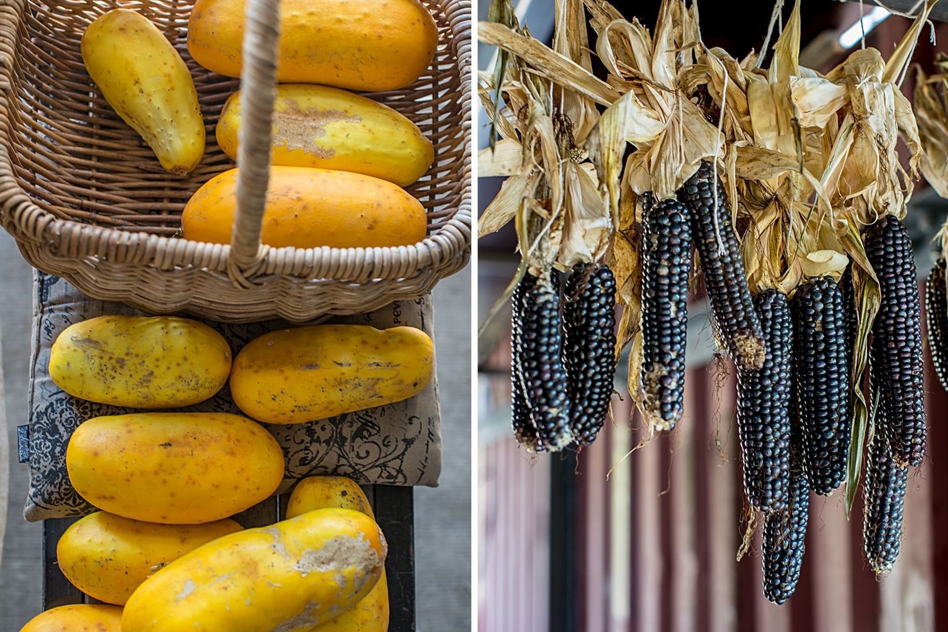 Dar Jannah Permaculture Farm