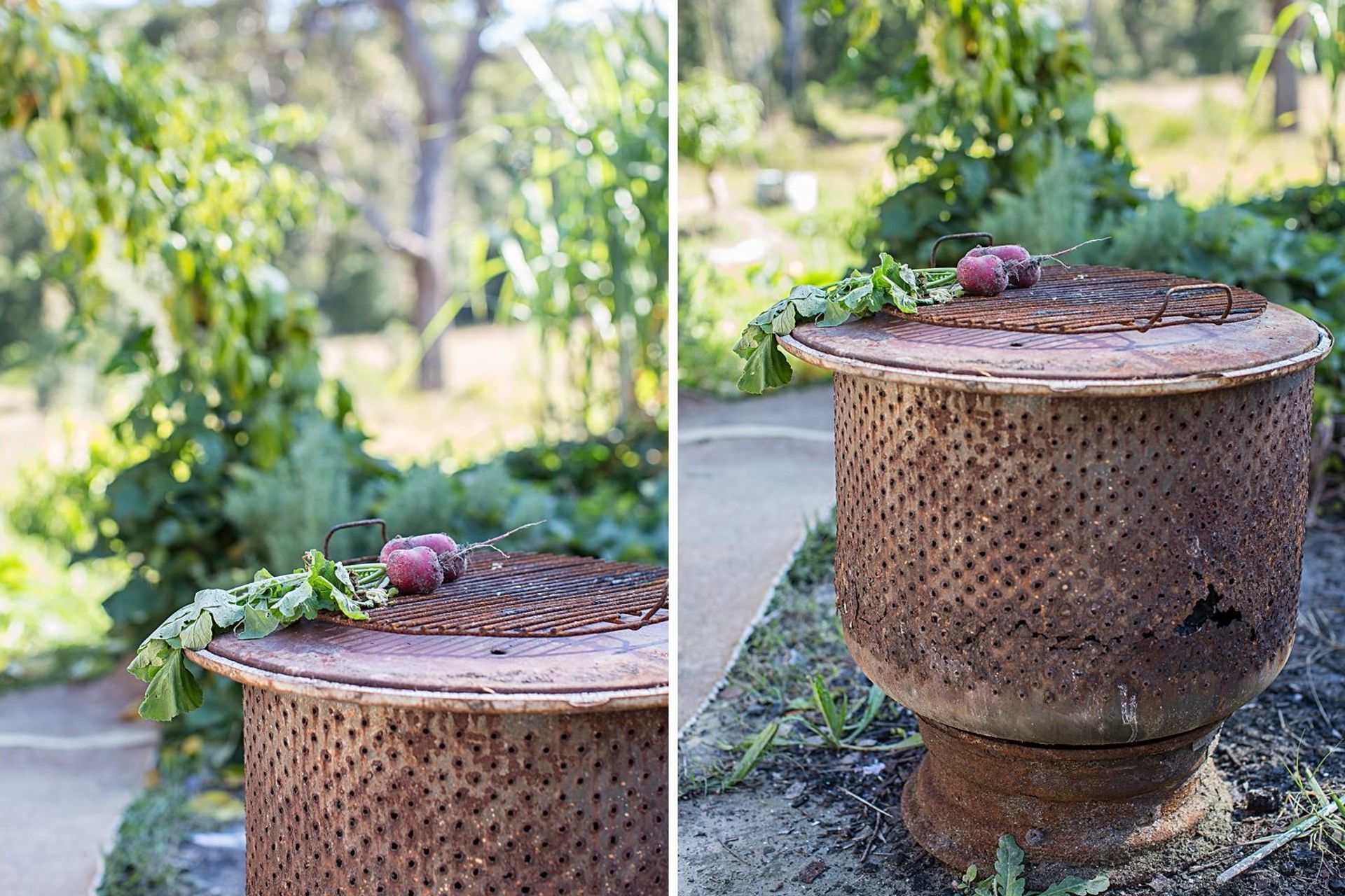 Dar Jannah Permaculture Farm