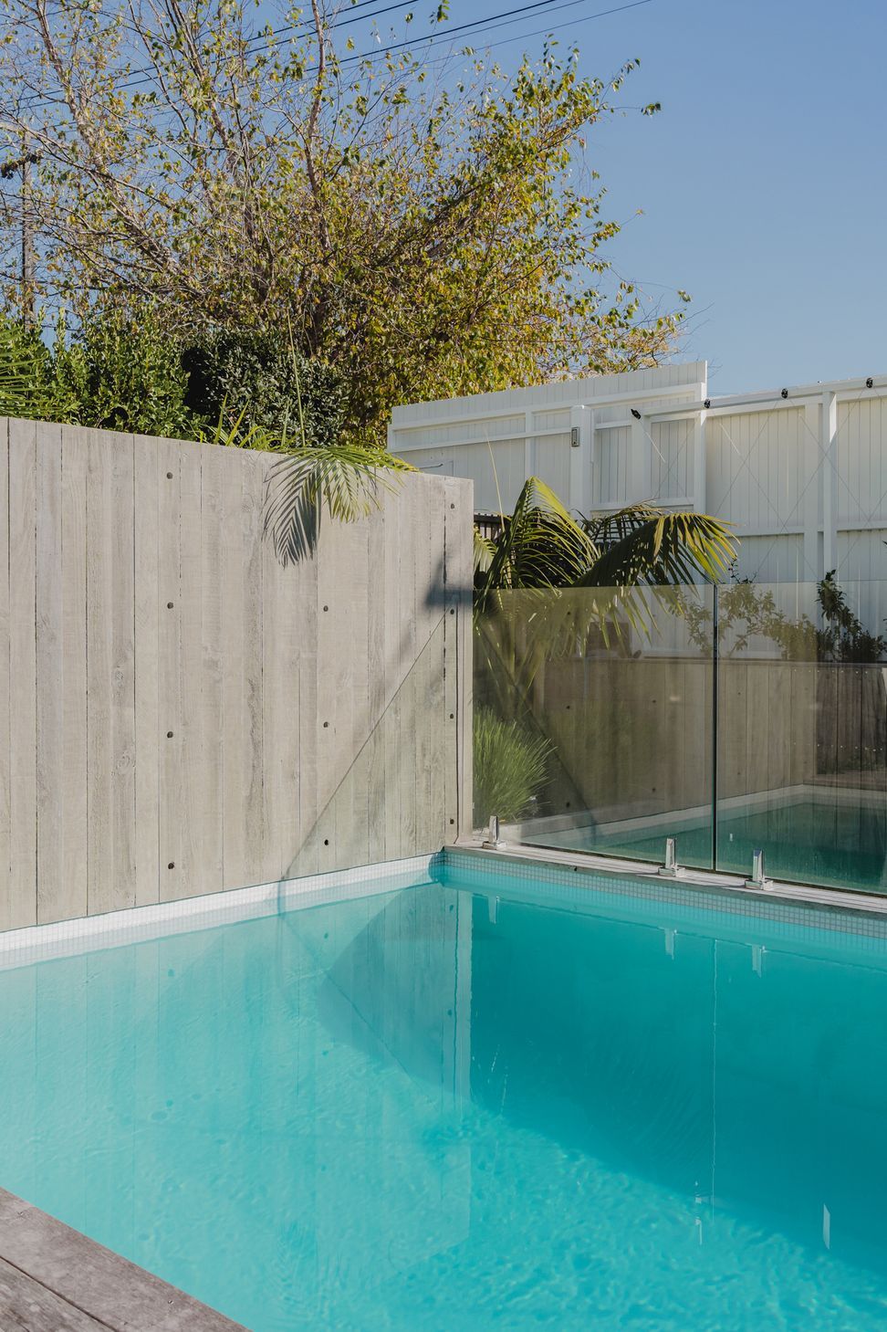 Westmere Bungalow | New-Build Residence | External view of salt water concrete swimming pool, featuring an in situ concrete wall and glass fencing.
