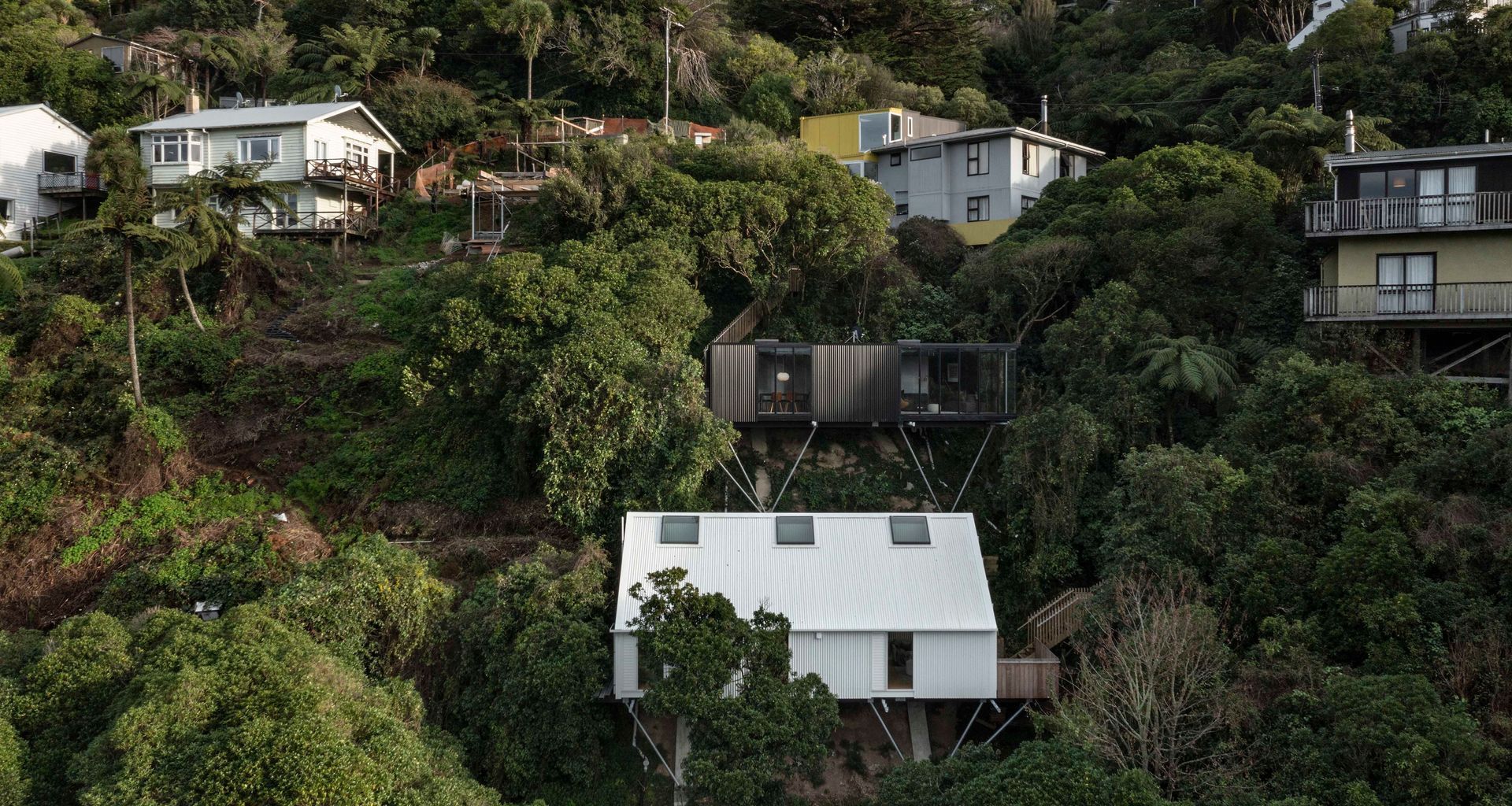 Hillside Habitats banner