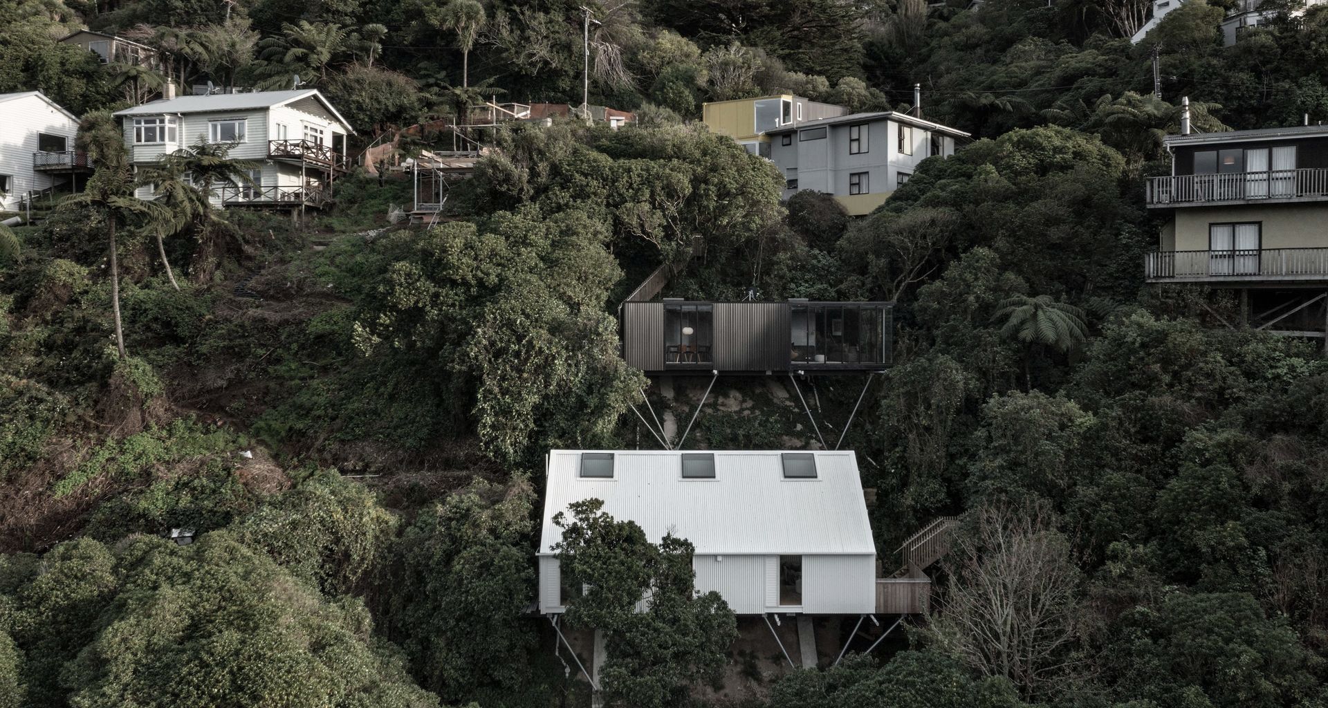 Hillside Habitats banner
