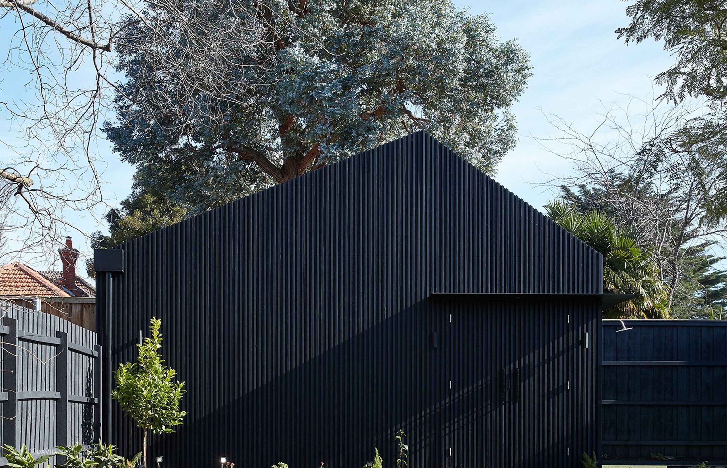 The Shed