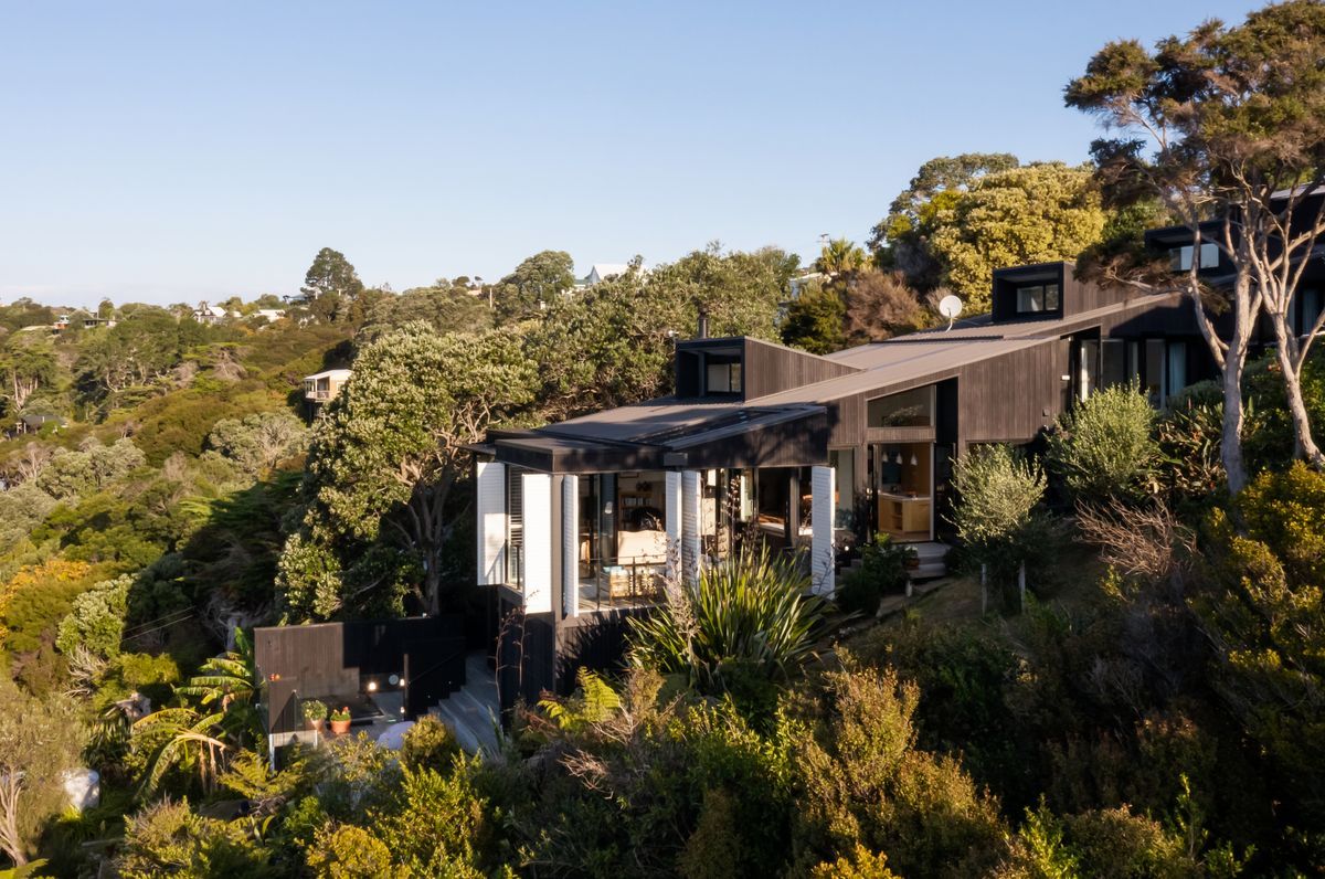 The Skinny House