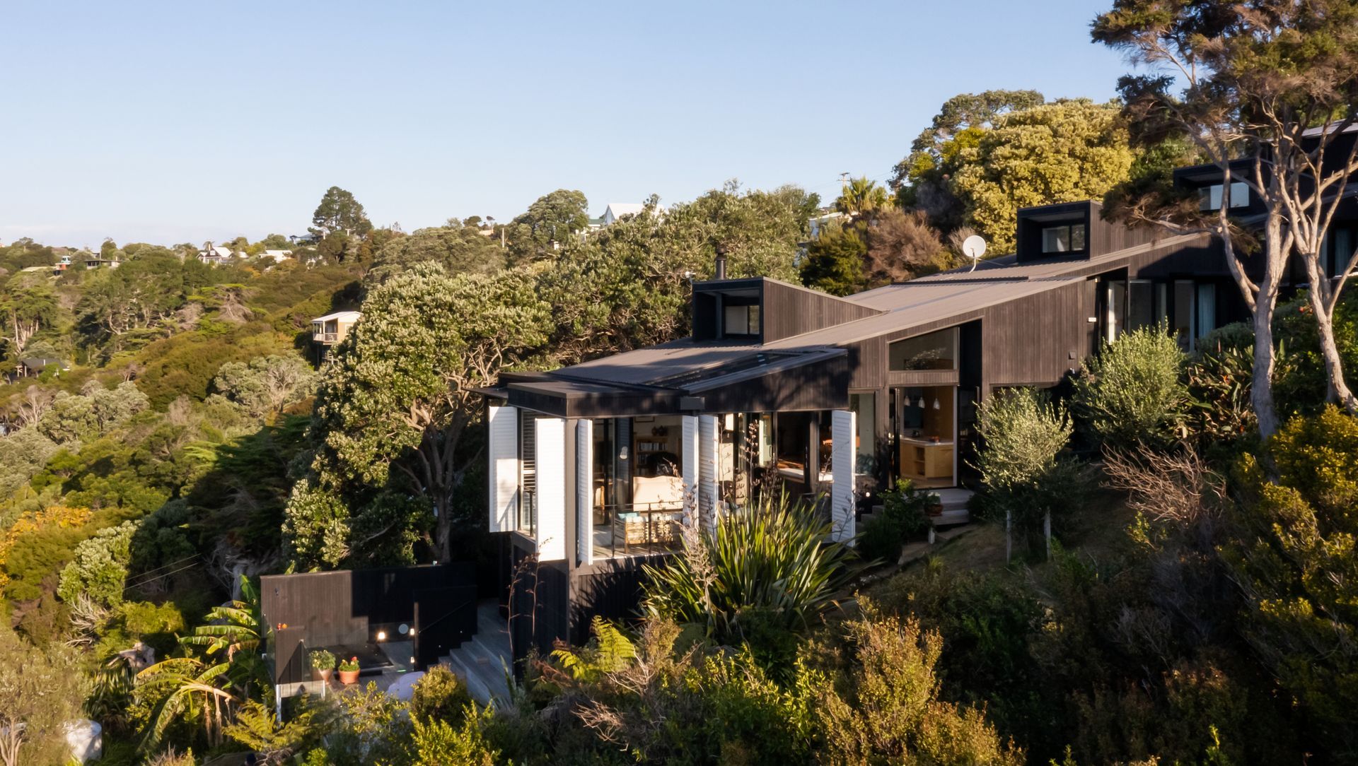 The Skinny House banner