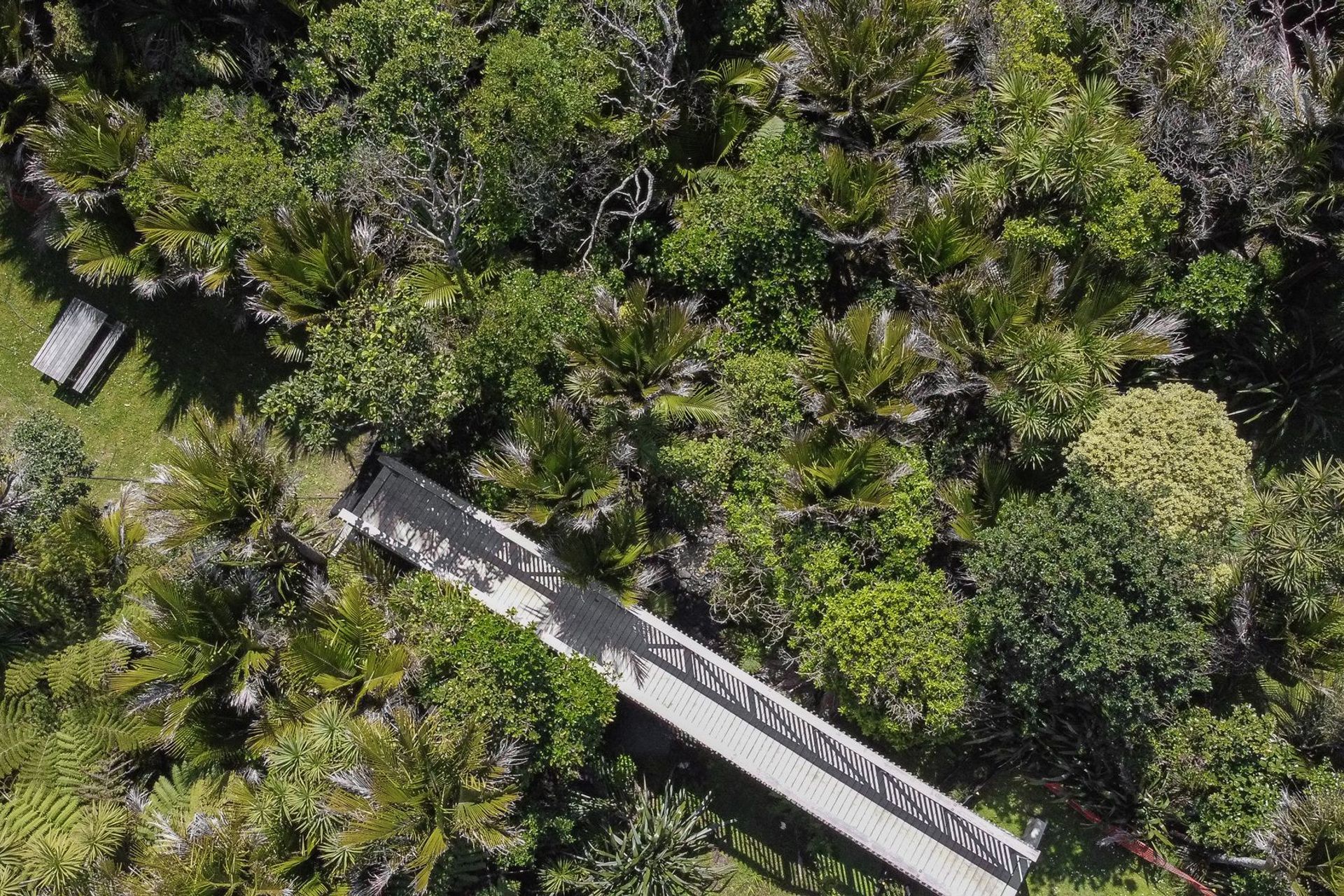 Garden Road, Piha