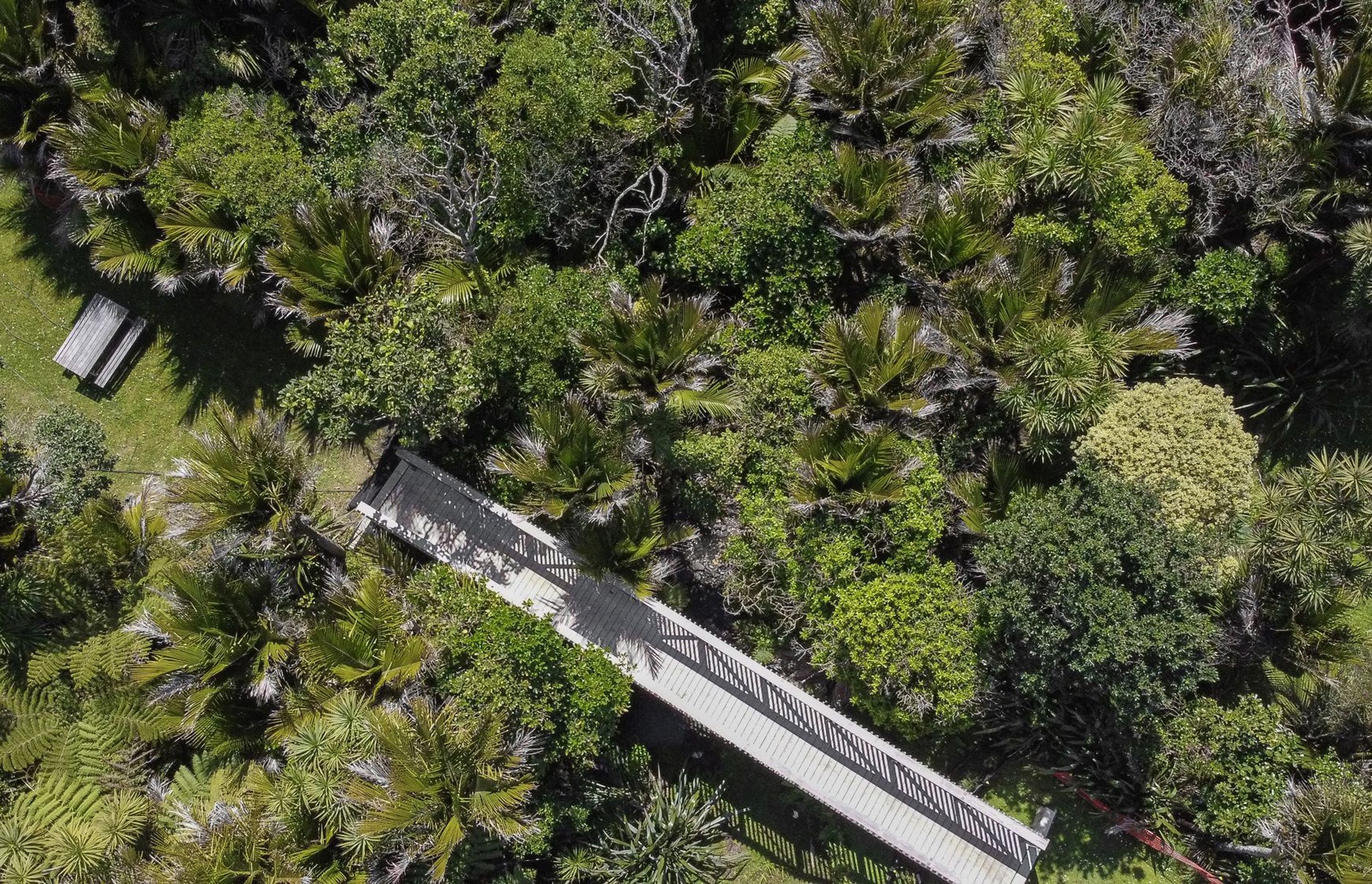 Garden Road, Piha