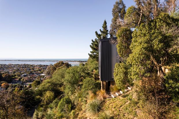 A small dark-clad building volume set among dense native vegetation on a steep hillside, elevated on slender supports and overlooking a broad coastal bay and suburban landscape. The image is an exterior architectural view in clear daylight, with the surrounding trees and planted landscape framing the structure.