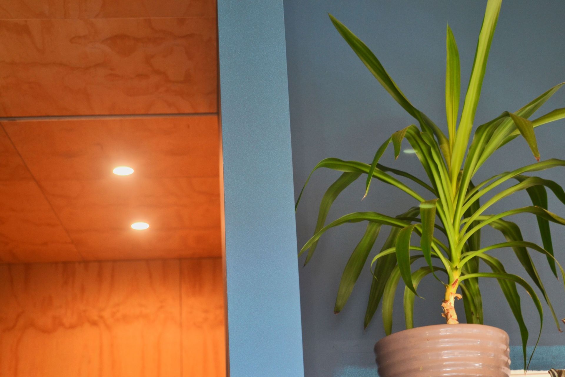 Sophie Major Residence