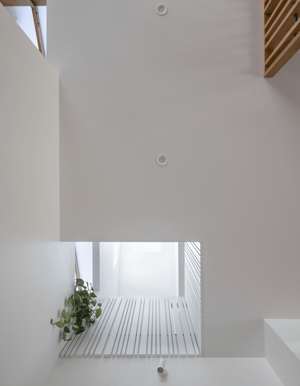 Annie Street Residence