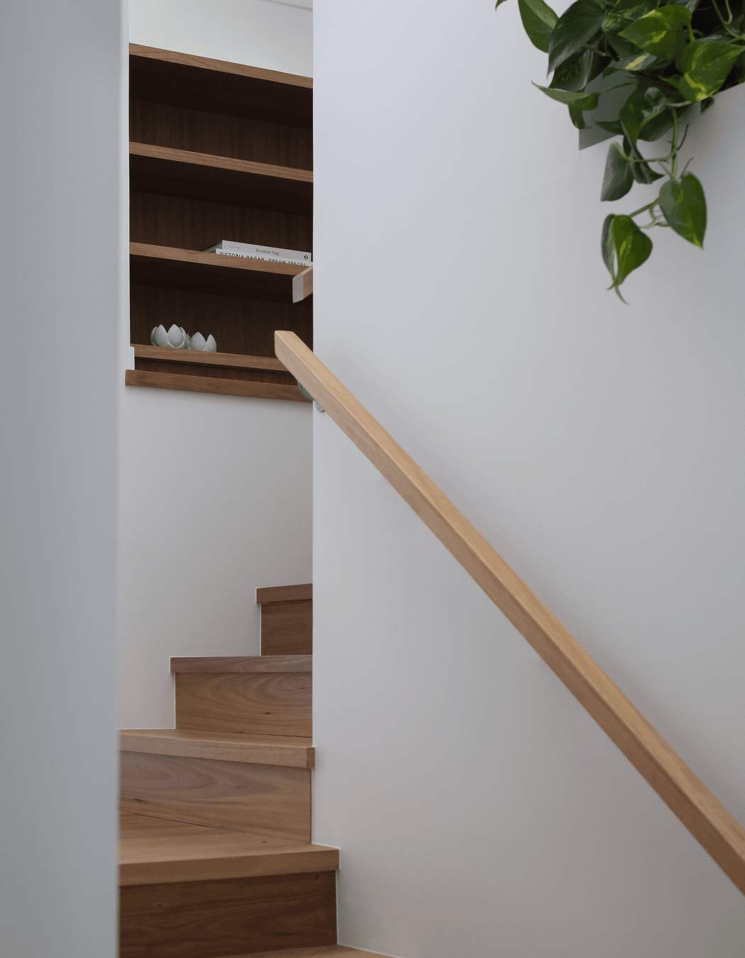 Annie Street Residence