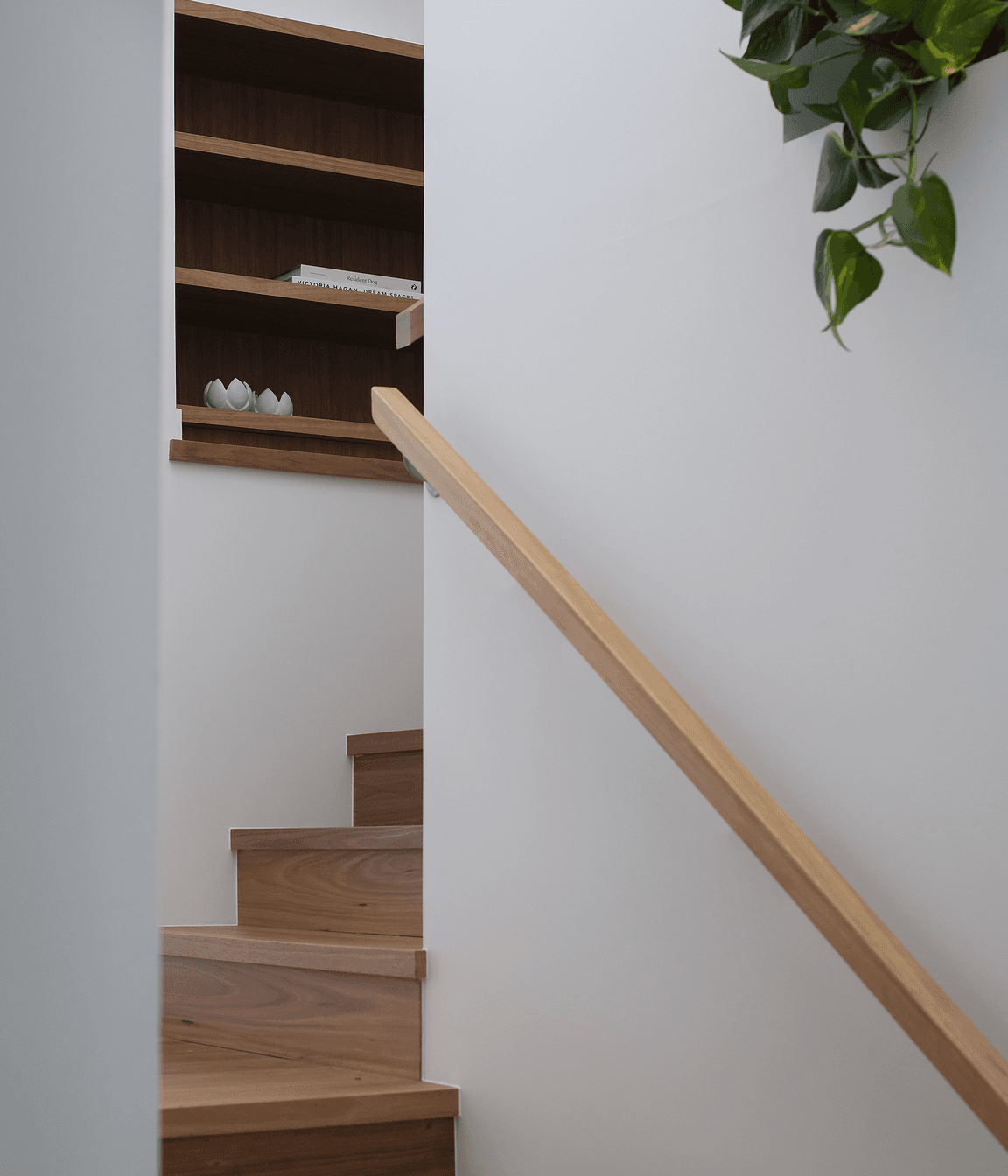 Annie Street Residence