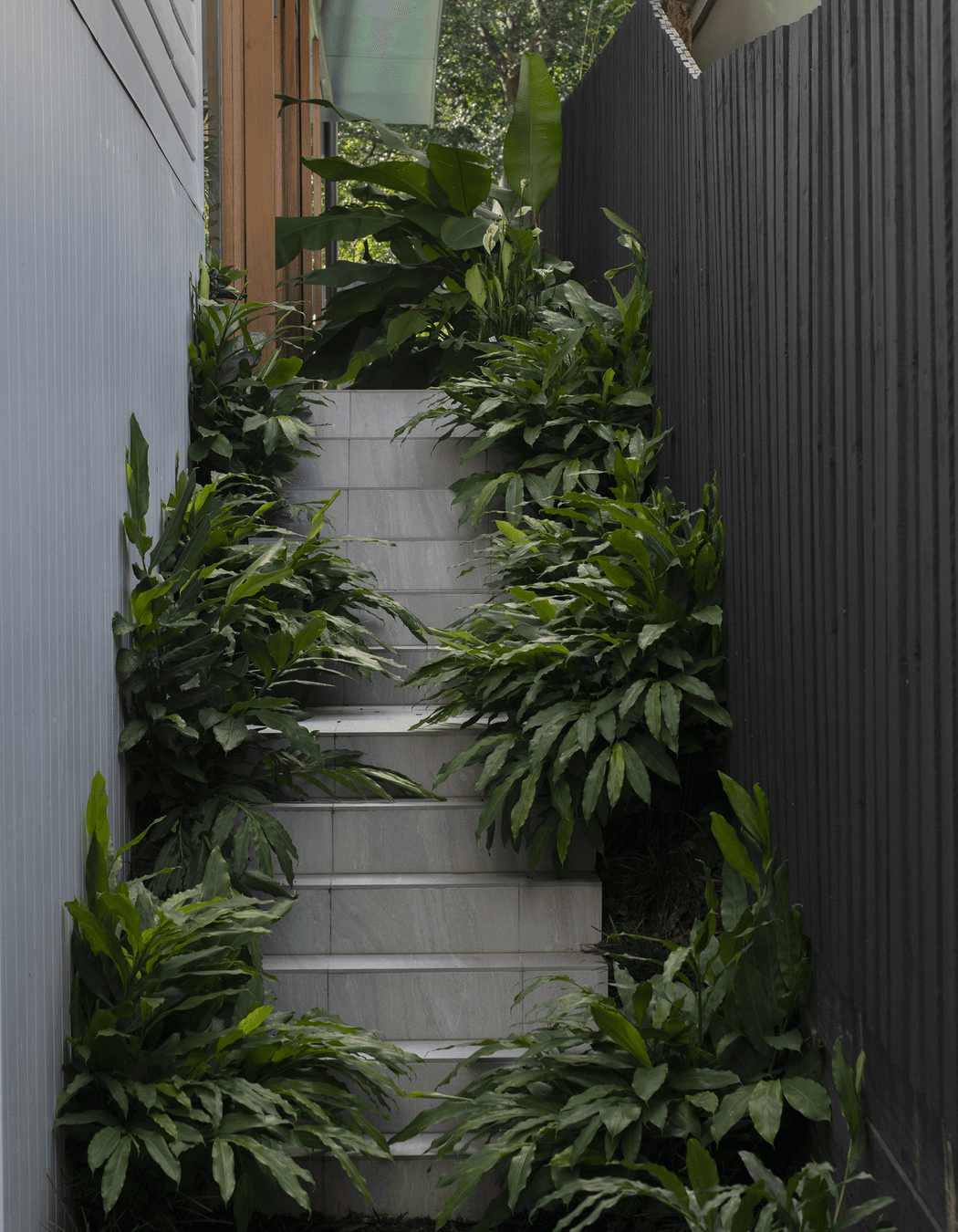 Annie Street Residence