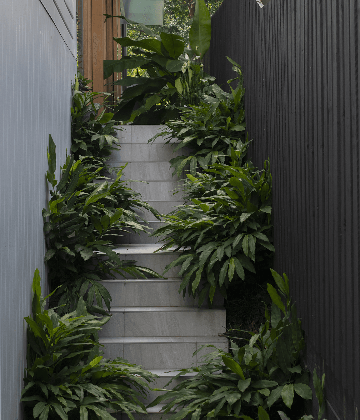 Annie Street Residence