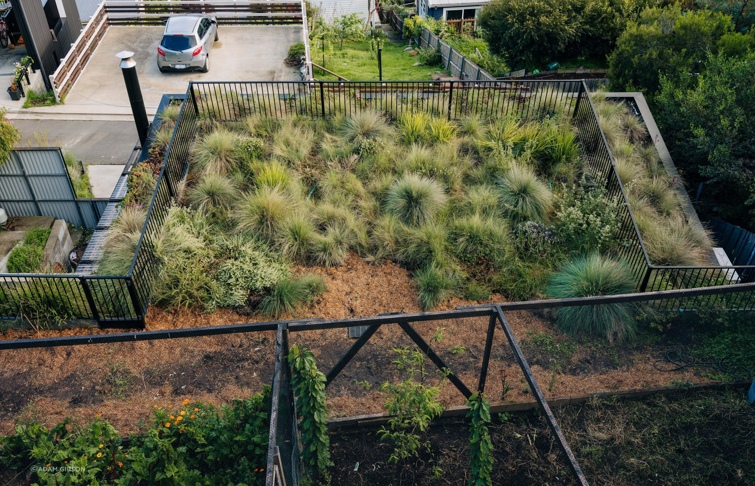 SoHo Small House