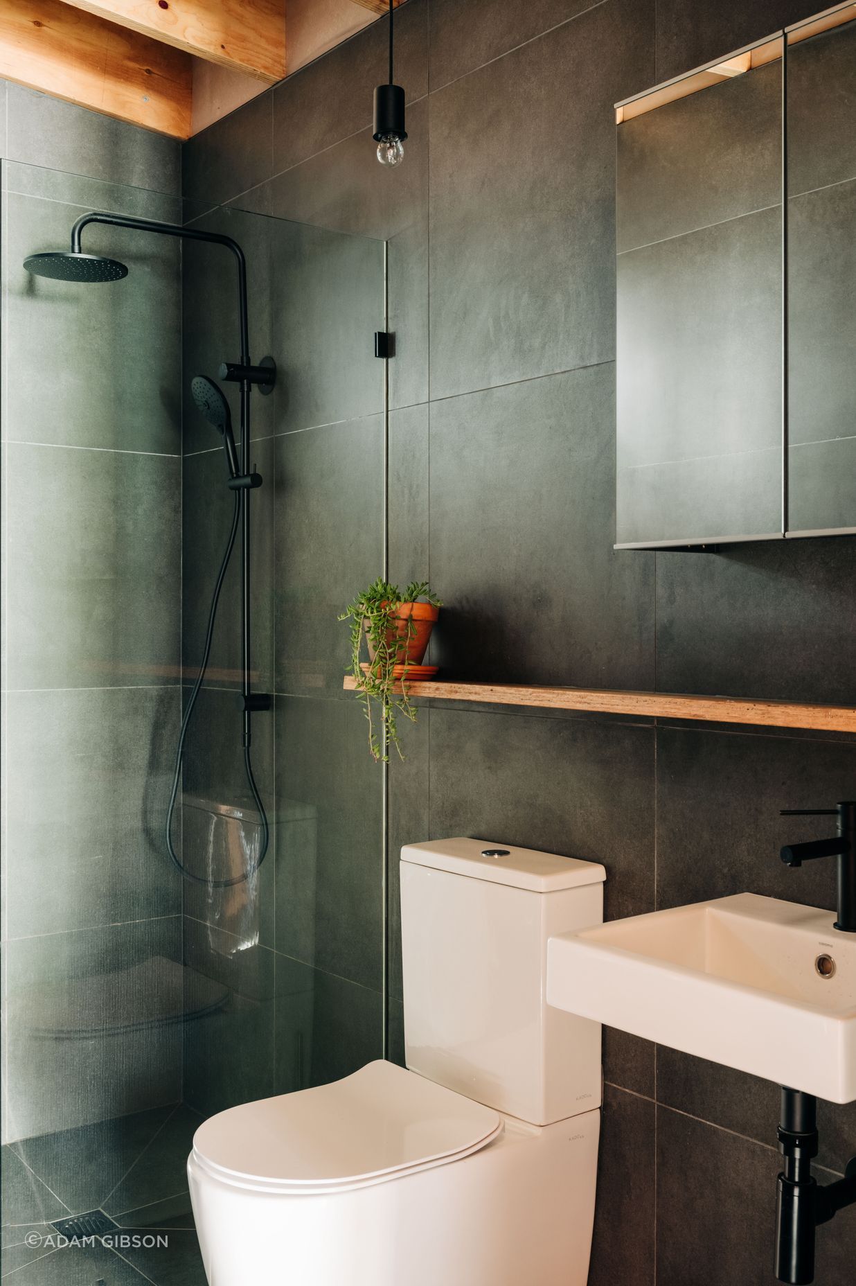 SoHo Small House