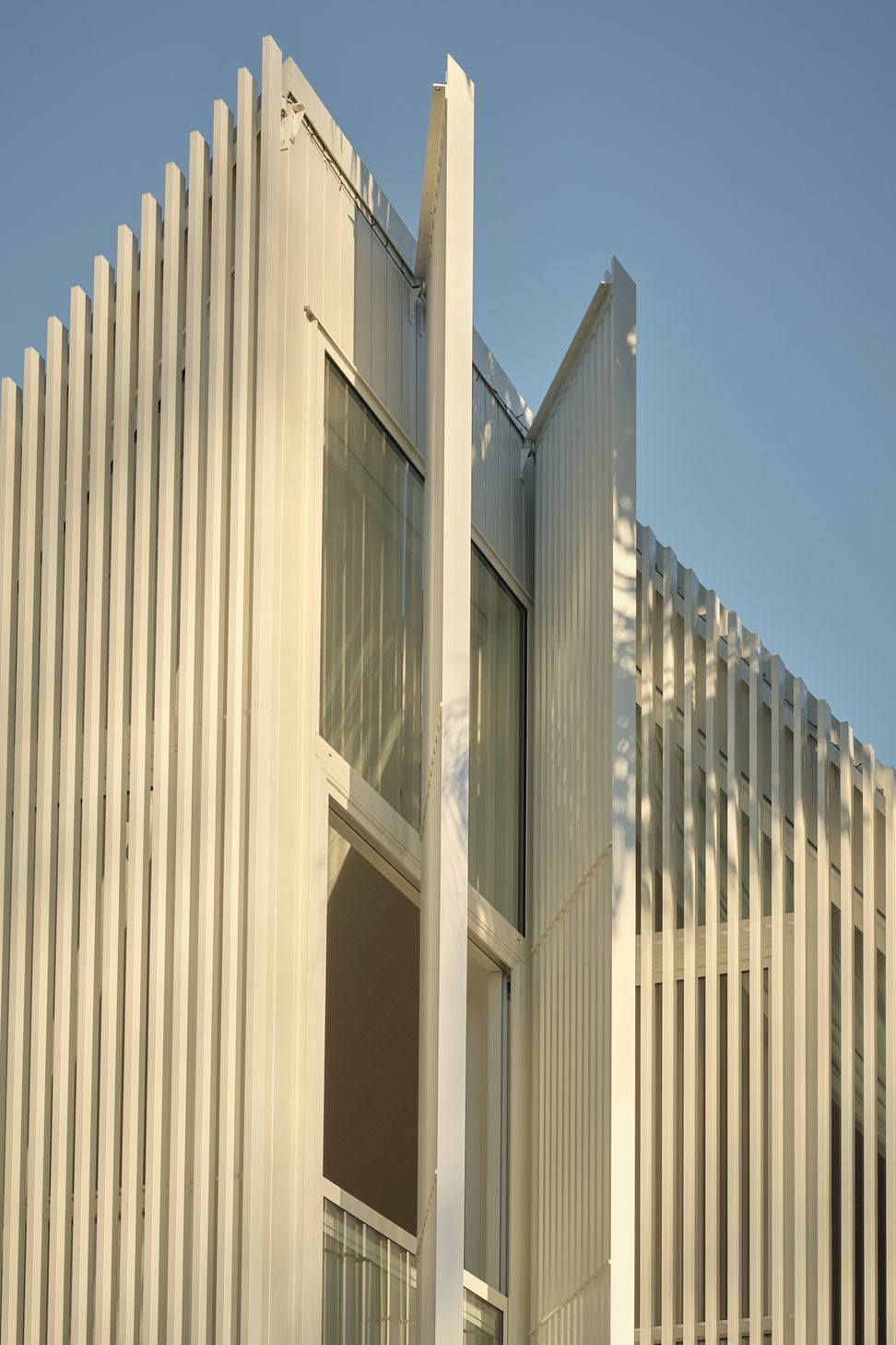DSF6845web.jpg