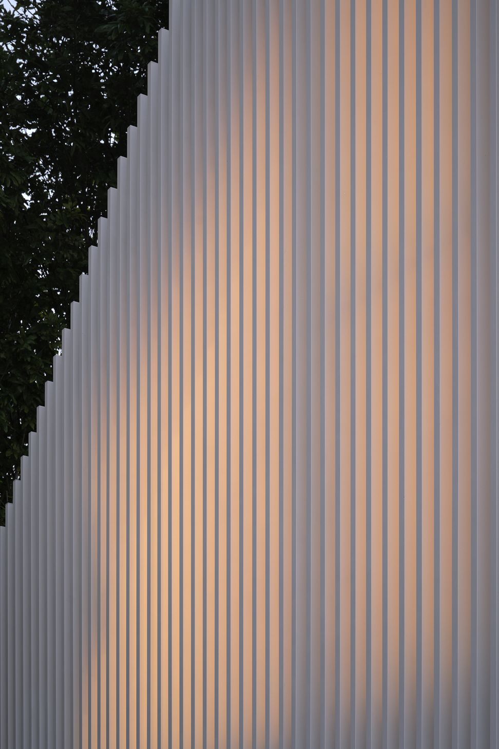DSF7153web.jpg