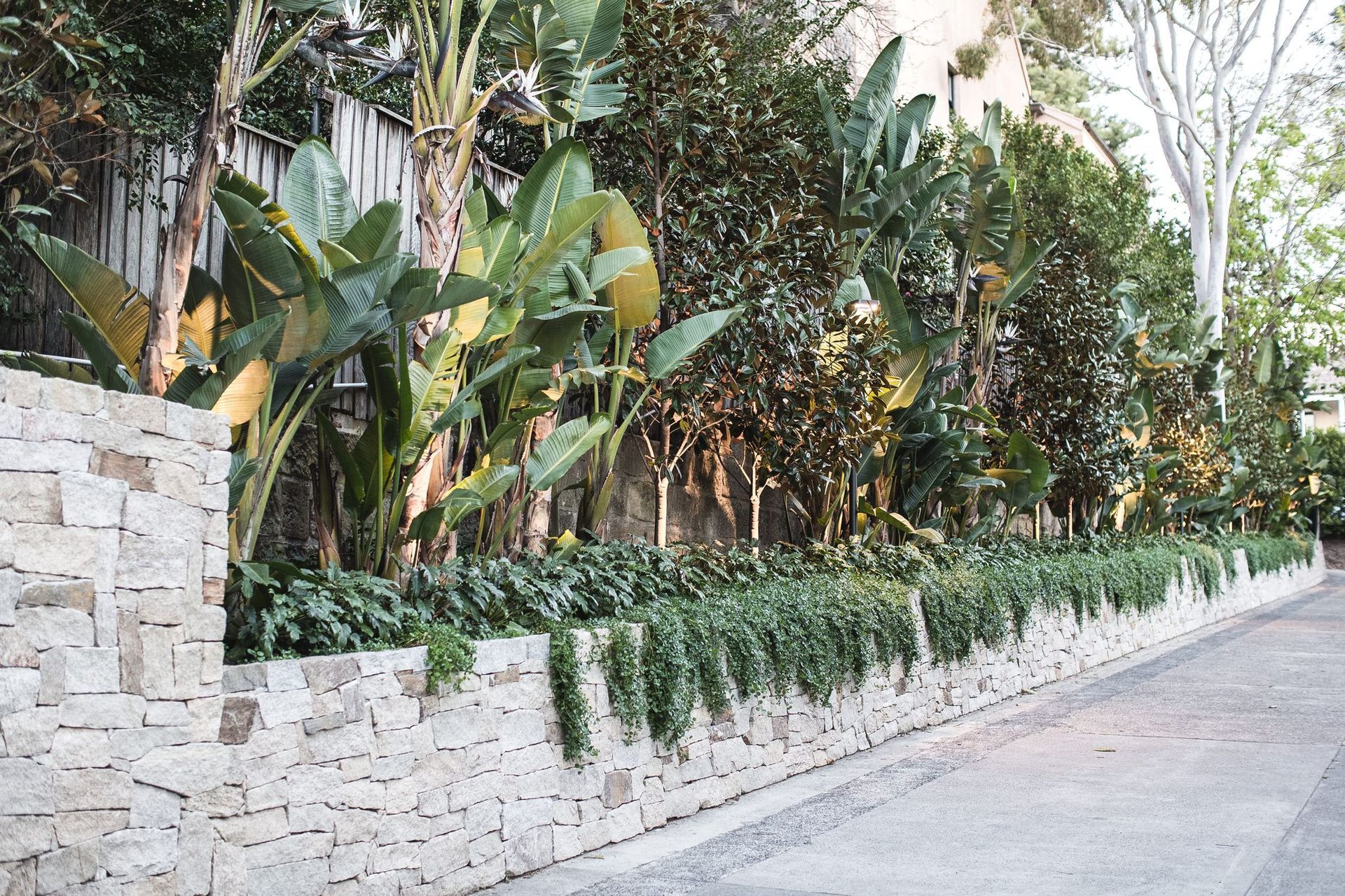 Bellevue Hill
