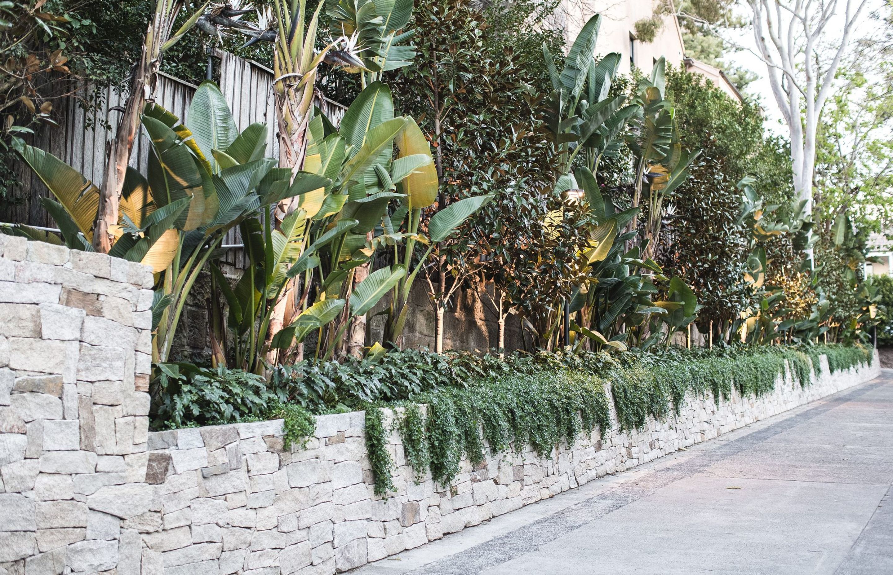 Bellevue Hill