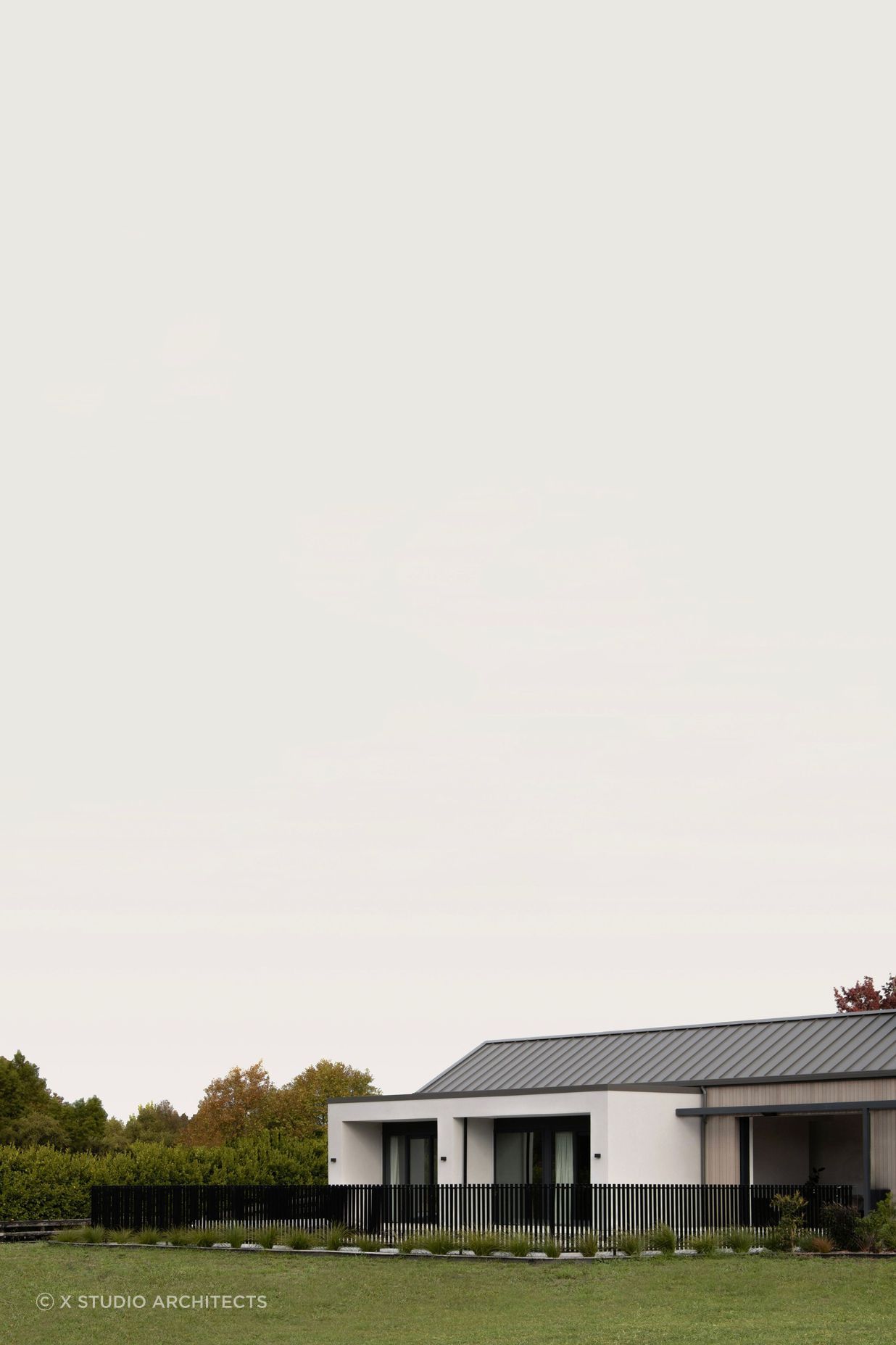 F4.jpg
