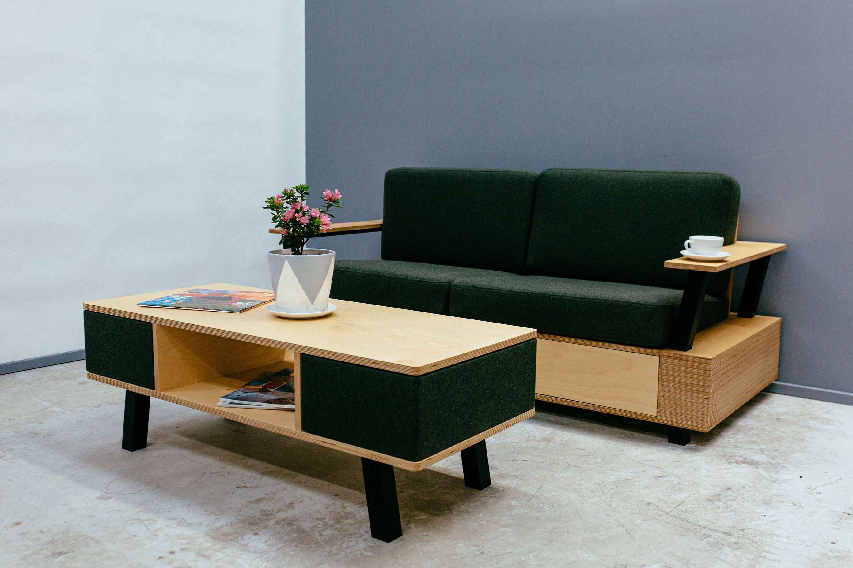 Koto Design Display Home