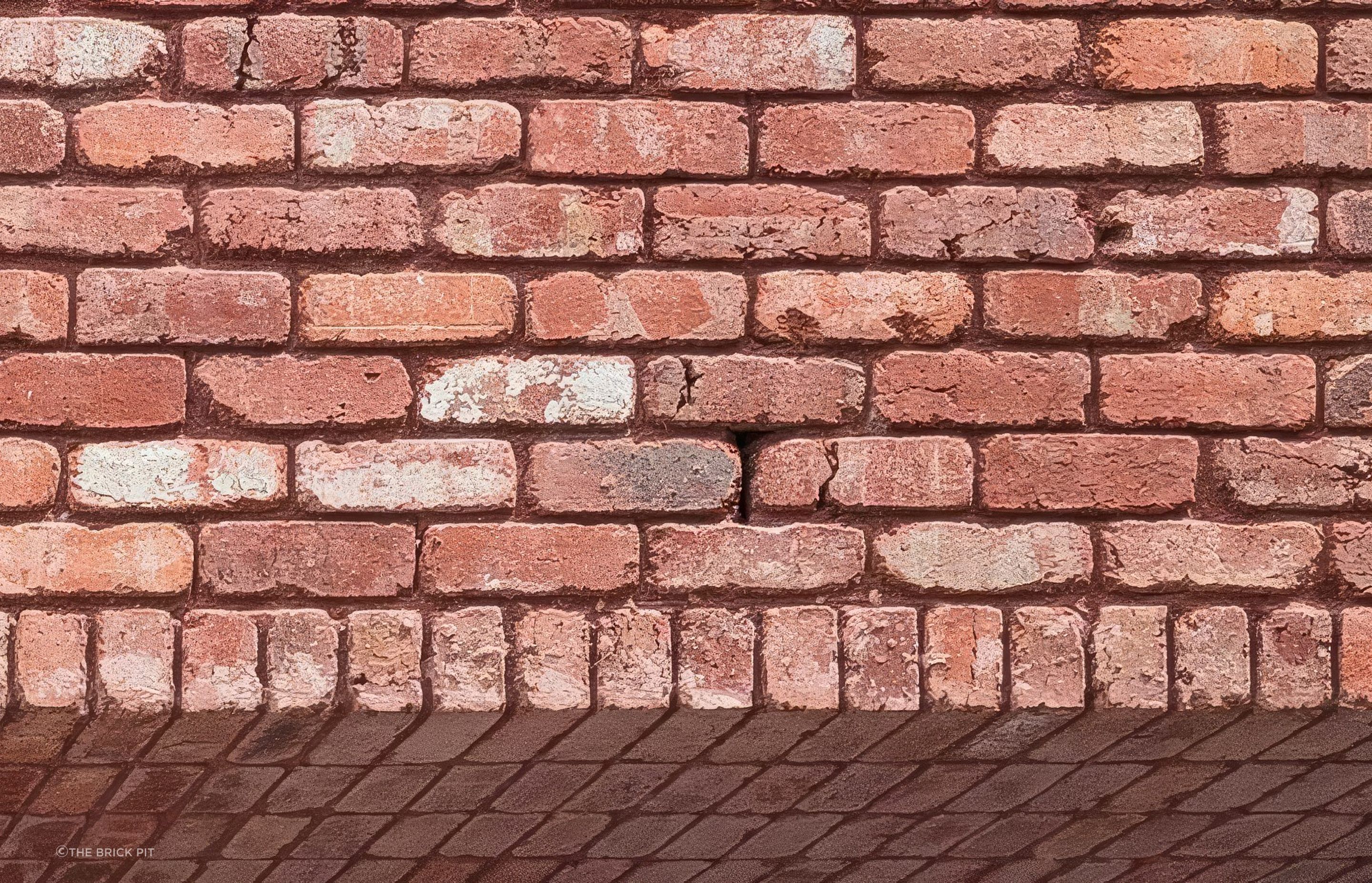 Photography Credit: The Brick Pit