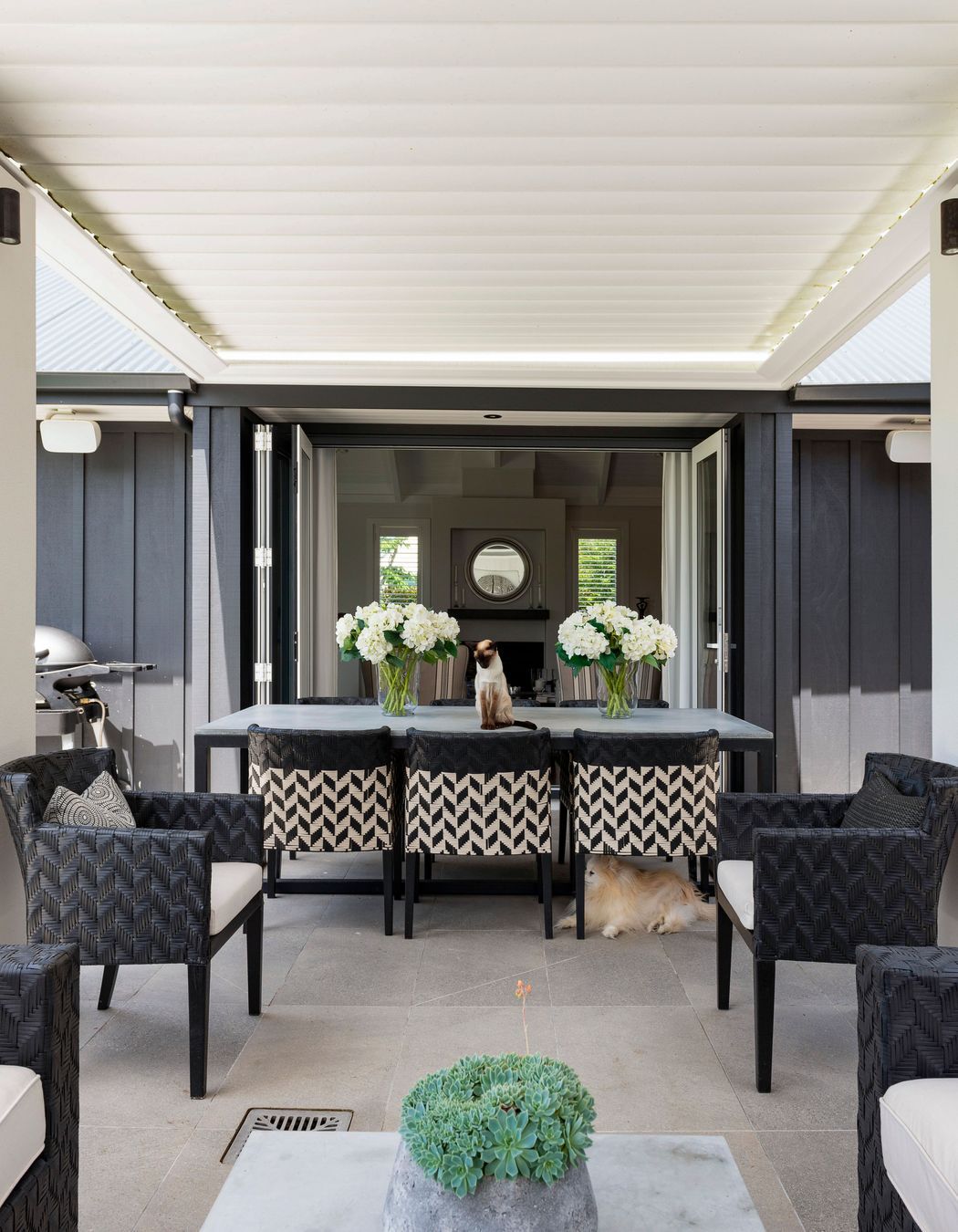 Magnificent Lodge -Greytown-Wairarapa