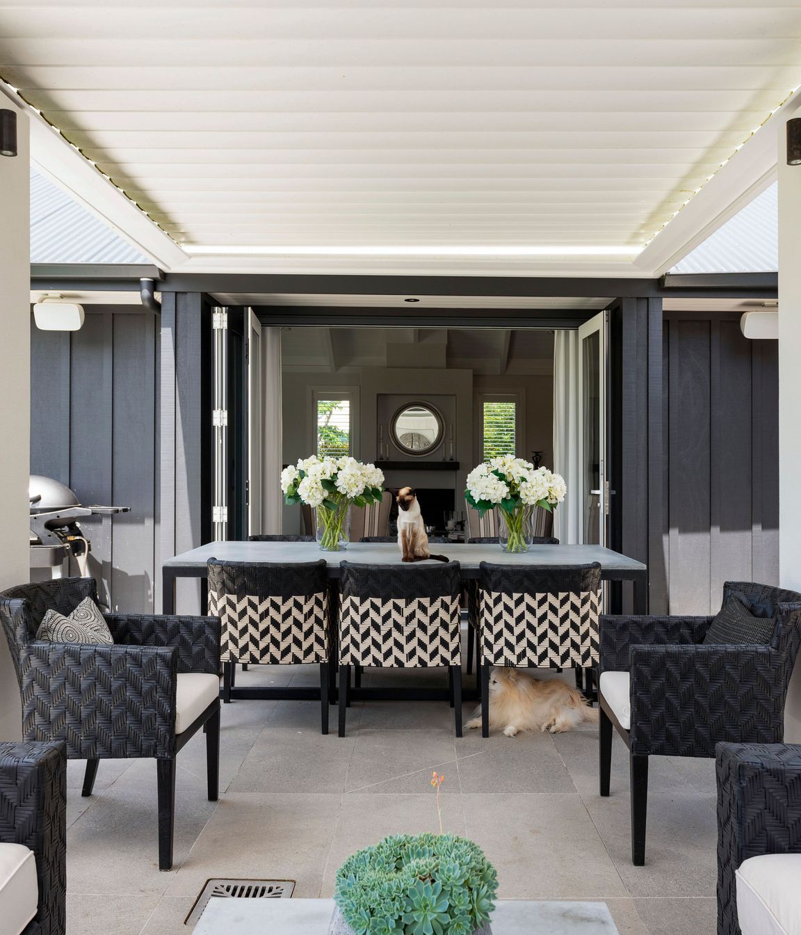 Magnificent Lodge -Greytown-Wairarapa