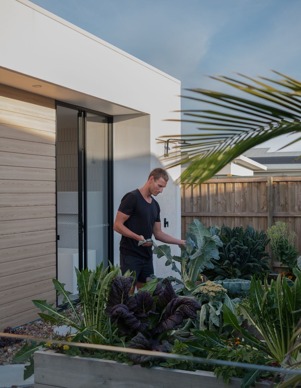 Healthy House