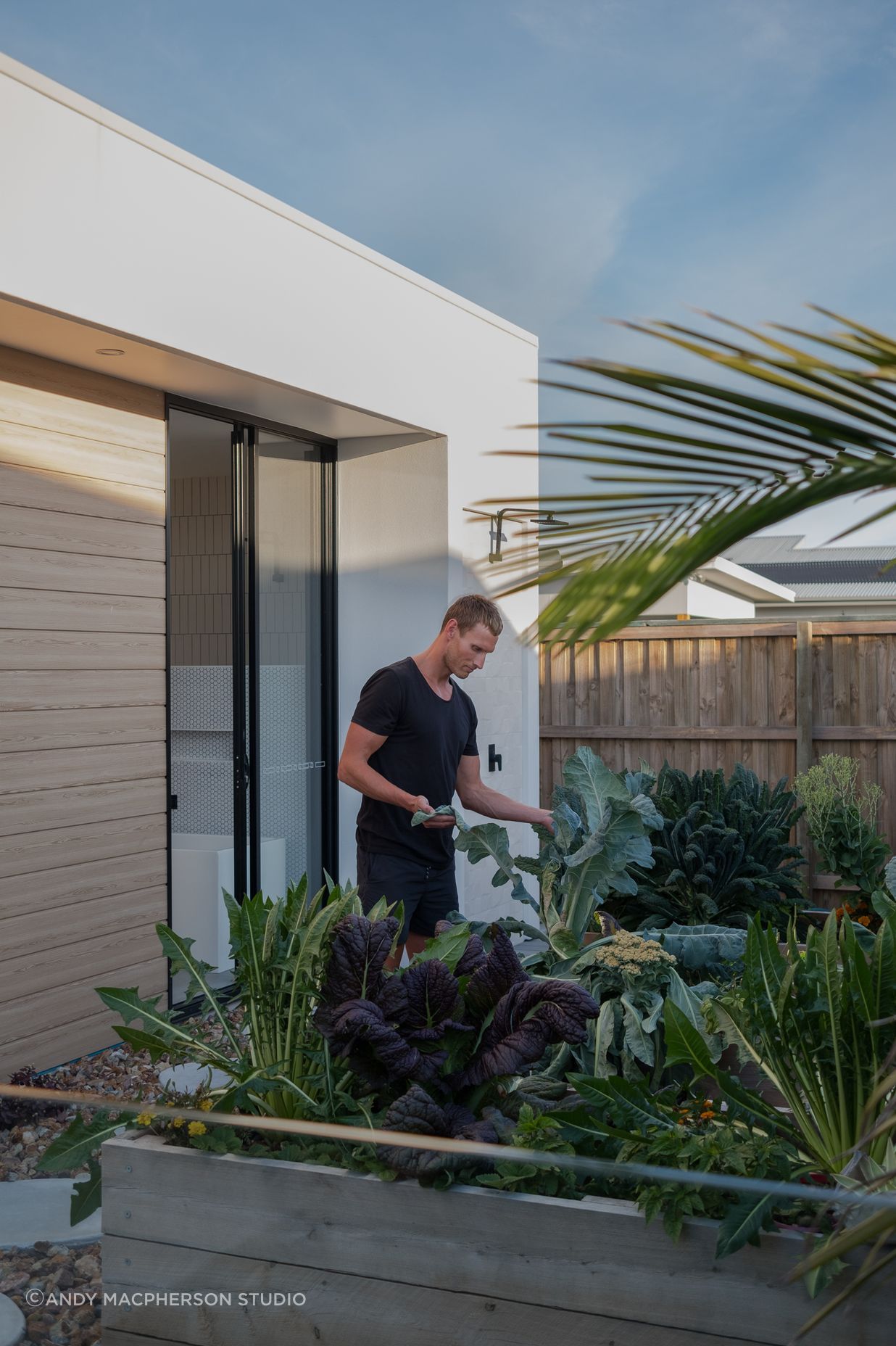 Healthy House