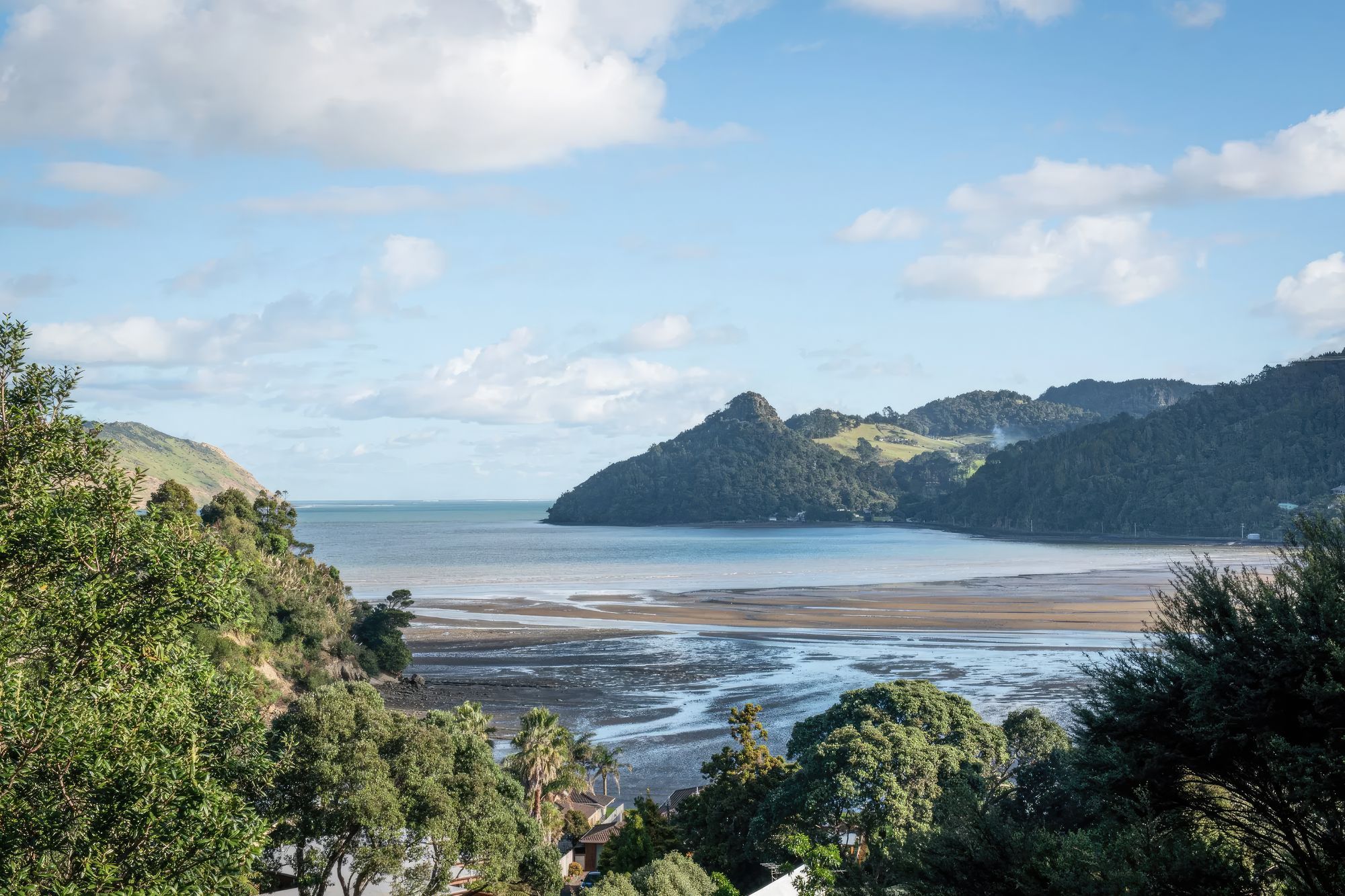 HUIA-16-gigapixel-standard-scale-200x.jpeg