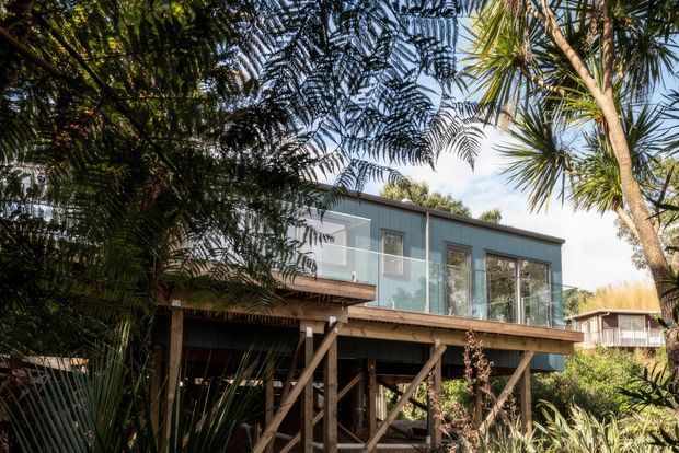 Exterior view of a contemporary elevated house set among dense subtropical vegetation. The upper level has dark vertical cladding, extensive floor-to-ceiling glazing, and a projecting balcony, while the structure is raised on exposed timber posts and bracing above the landscaped ground.