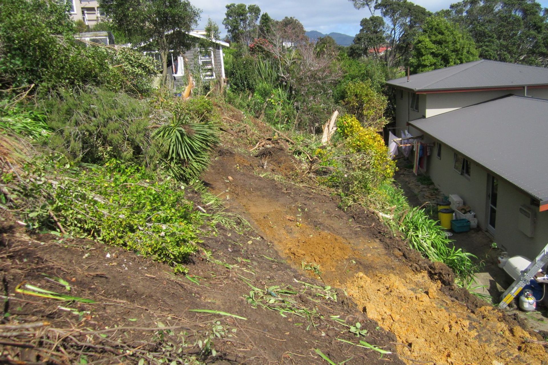 Park Drive Renovation