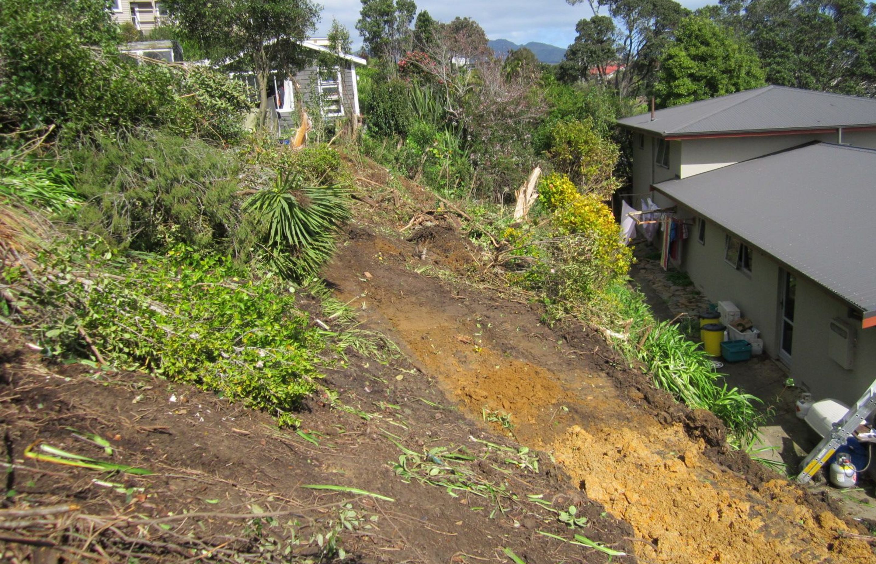 Park Drive Renovation