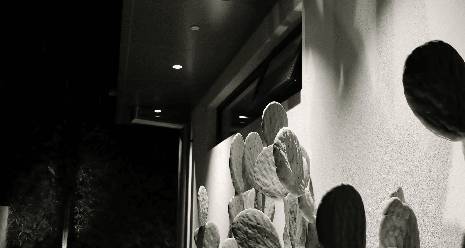 Rose Bay Residence banner