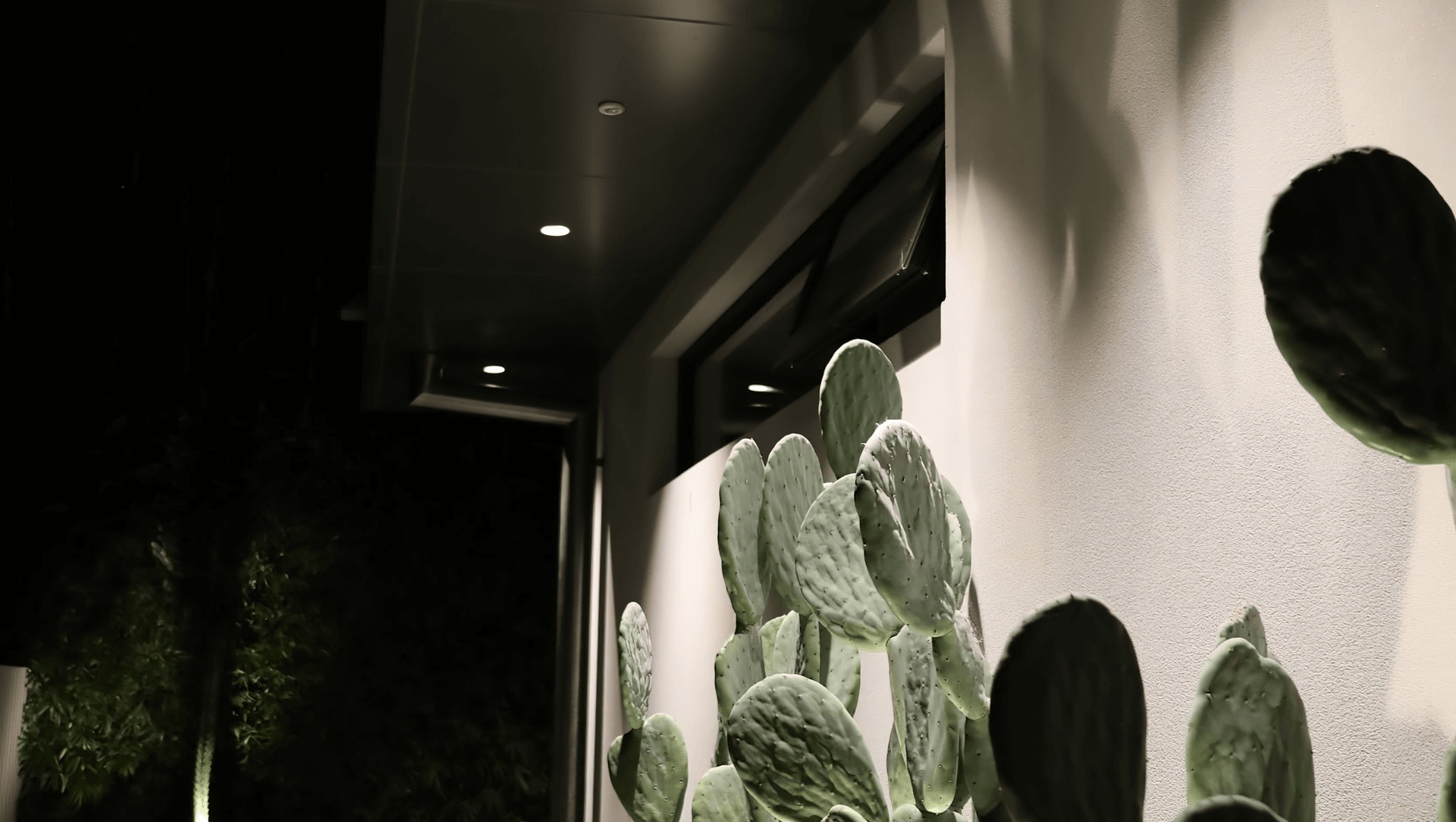 Rose Bay Residence banner