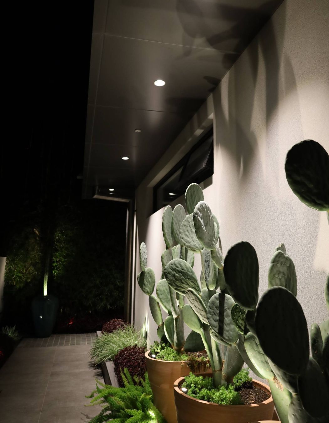 Rose Bay Residence