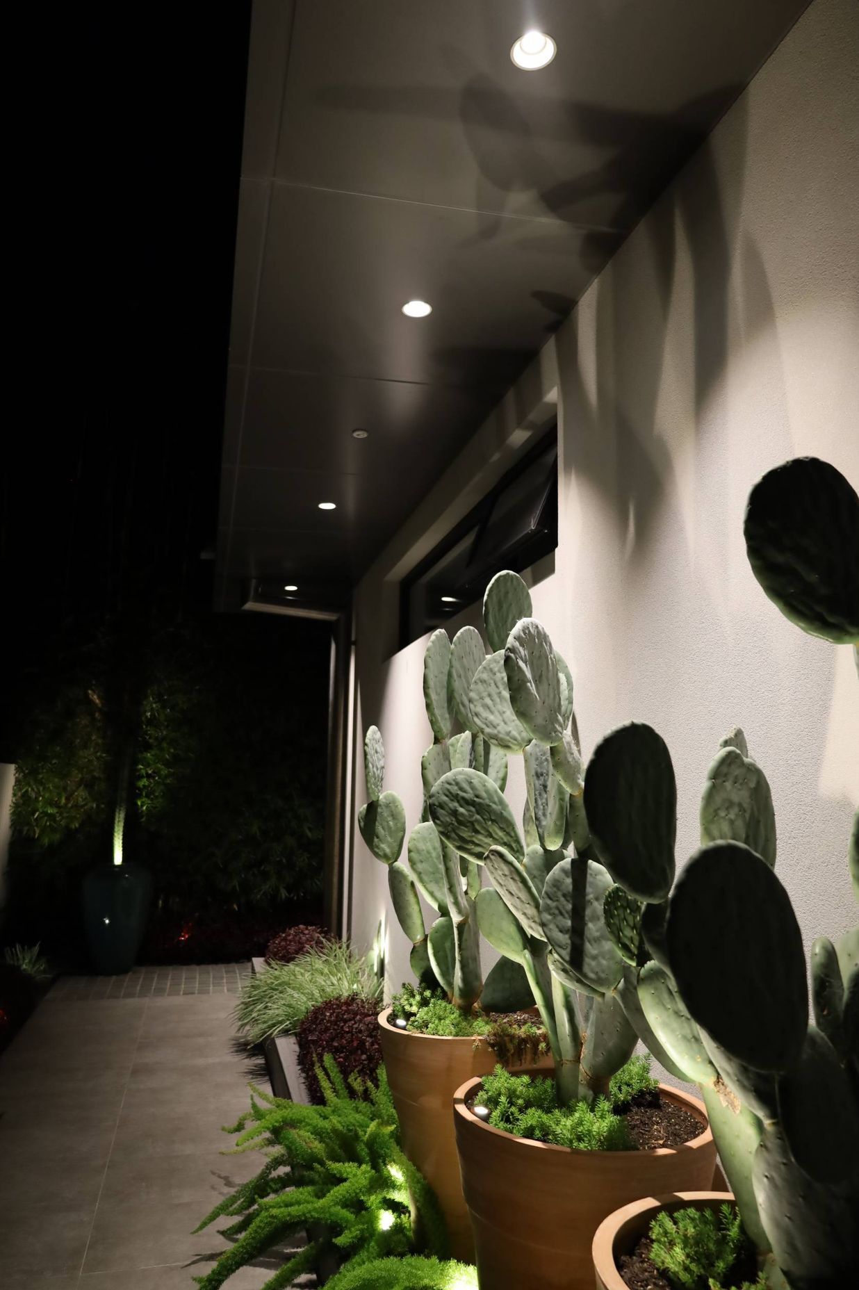 Rose Bay Residence