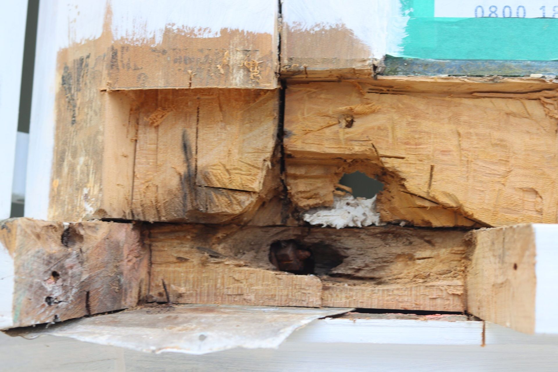 Rot on Window still cut out