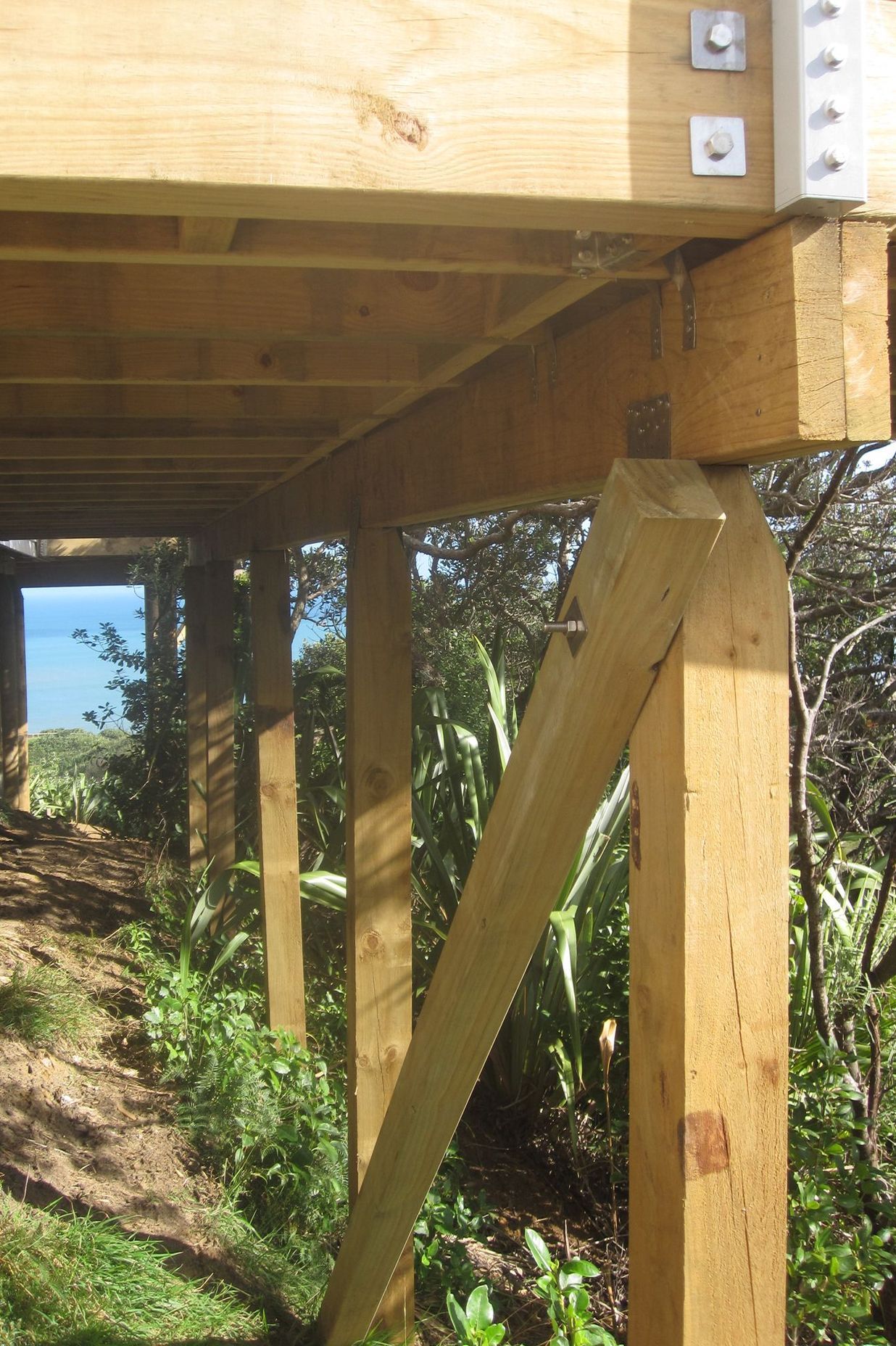 Muriwai New Build