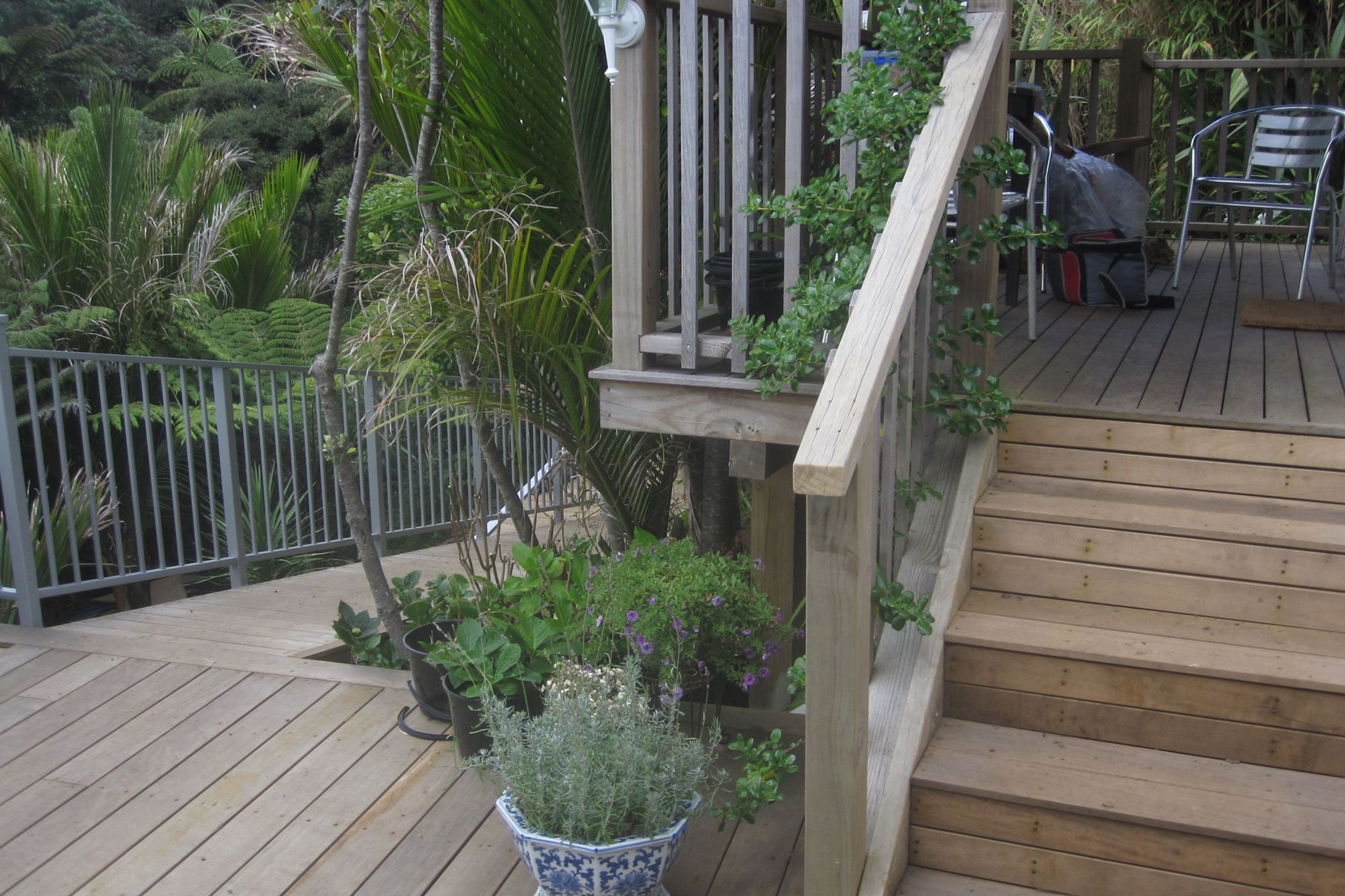 Muriwai New Build