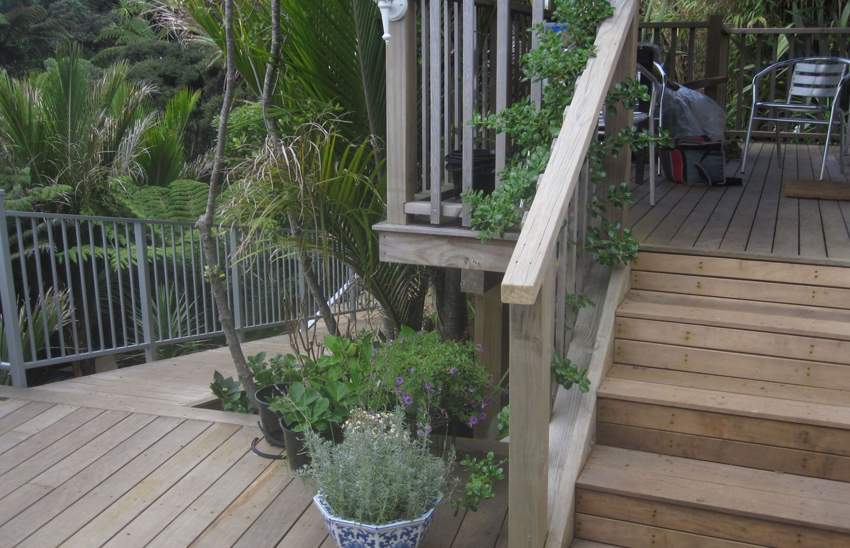 Muriwai New Build