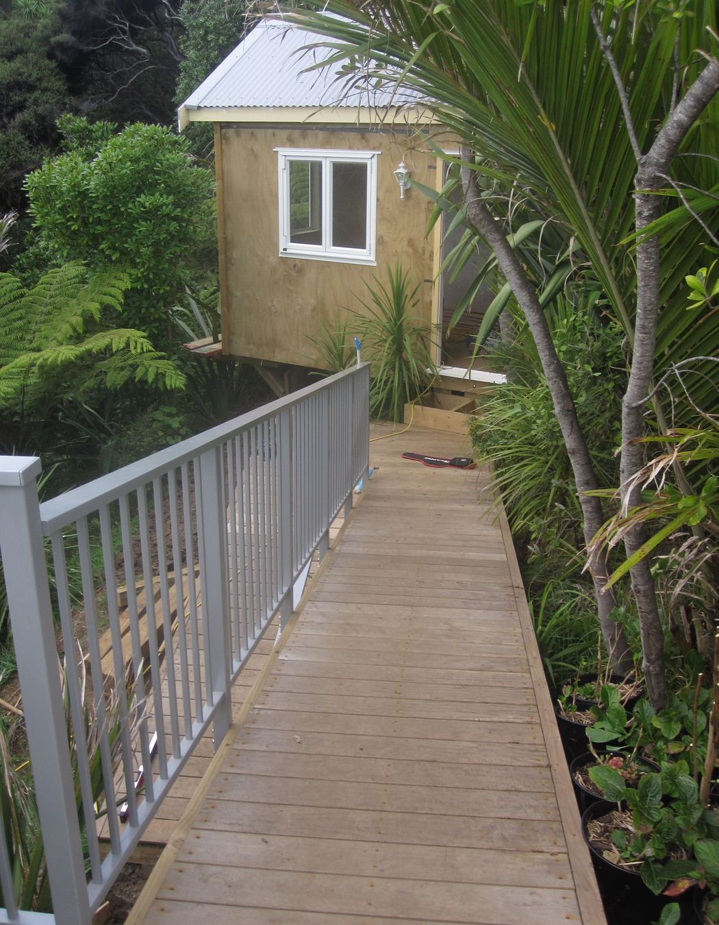Muriwai New Build