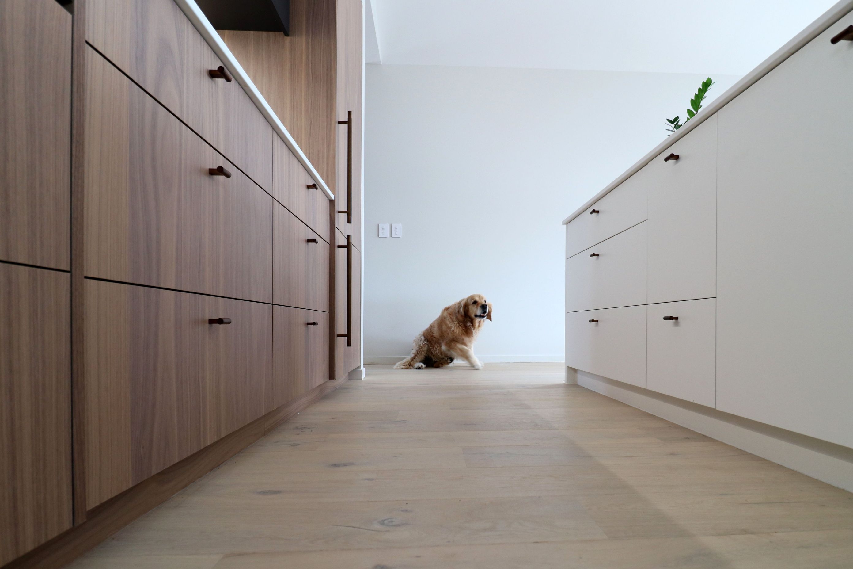 Walnut Veneer with Dark Cabinetry