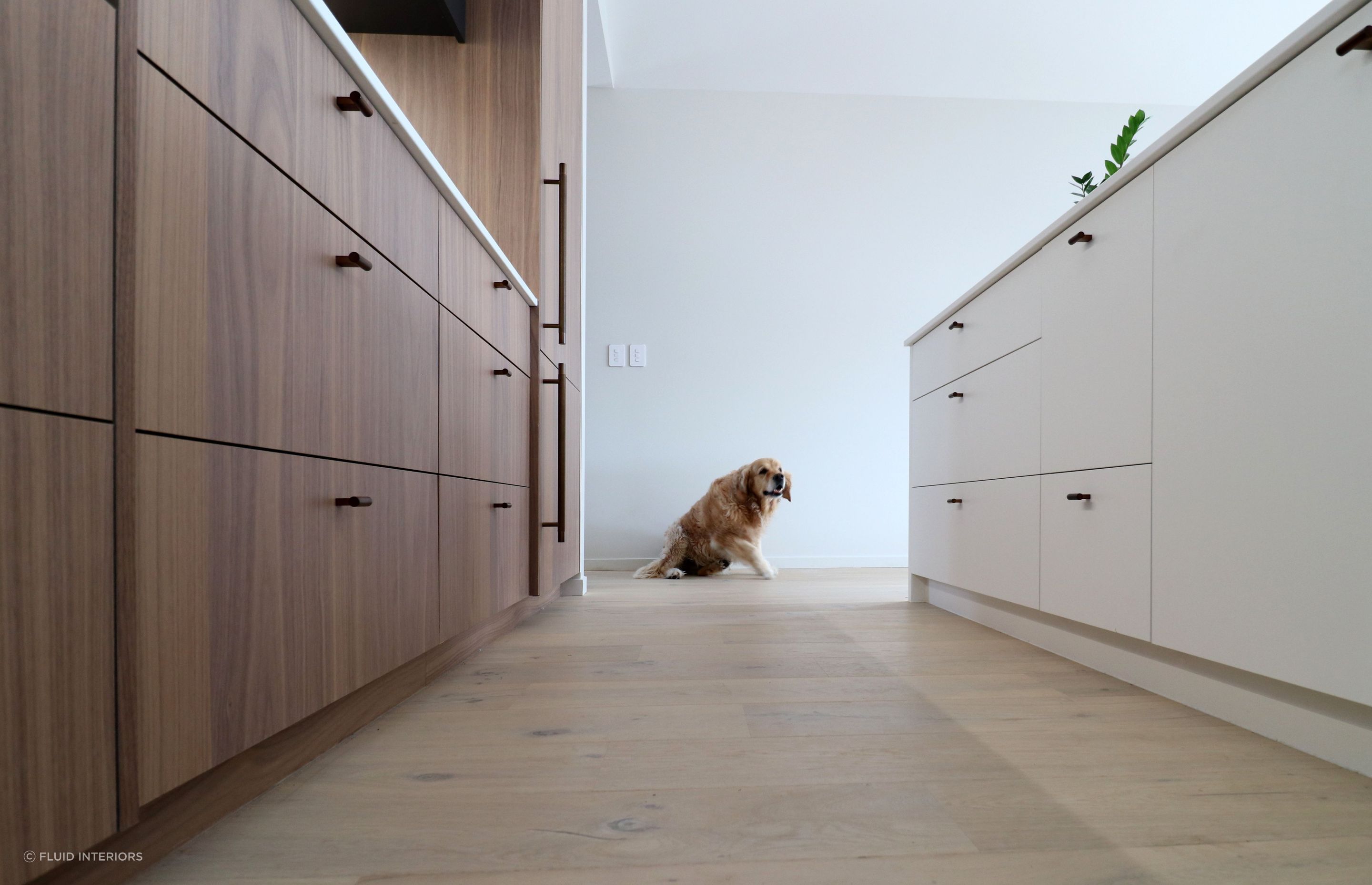 Walnut Veneer with Dark Cabinetry