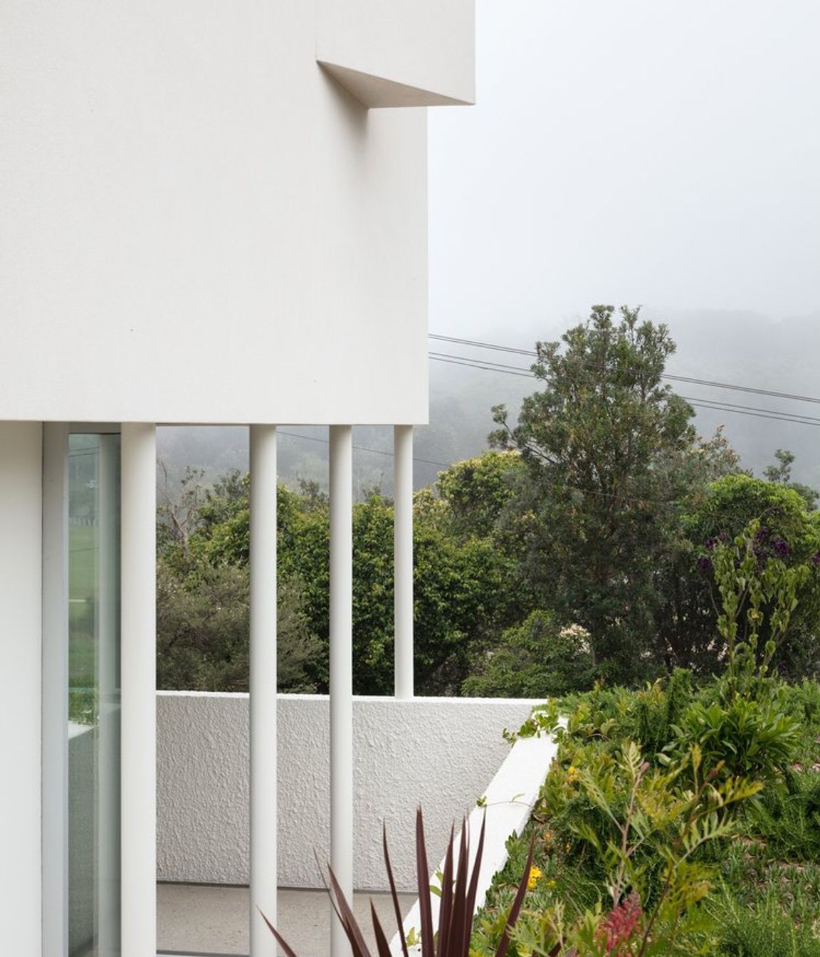 DD House