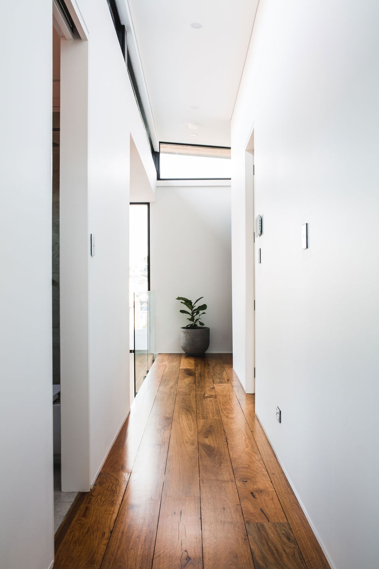 CLT House