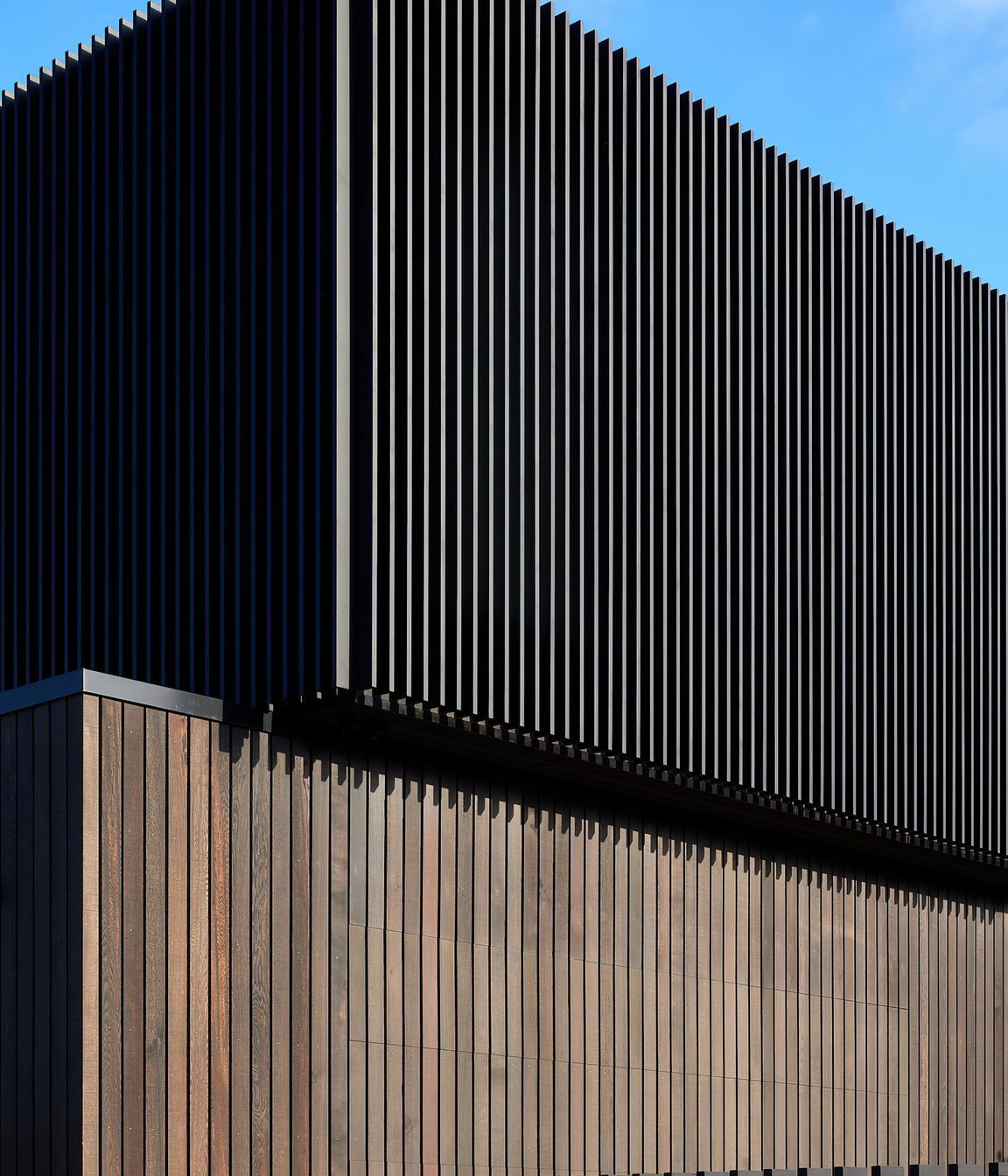 Kohimarama
