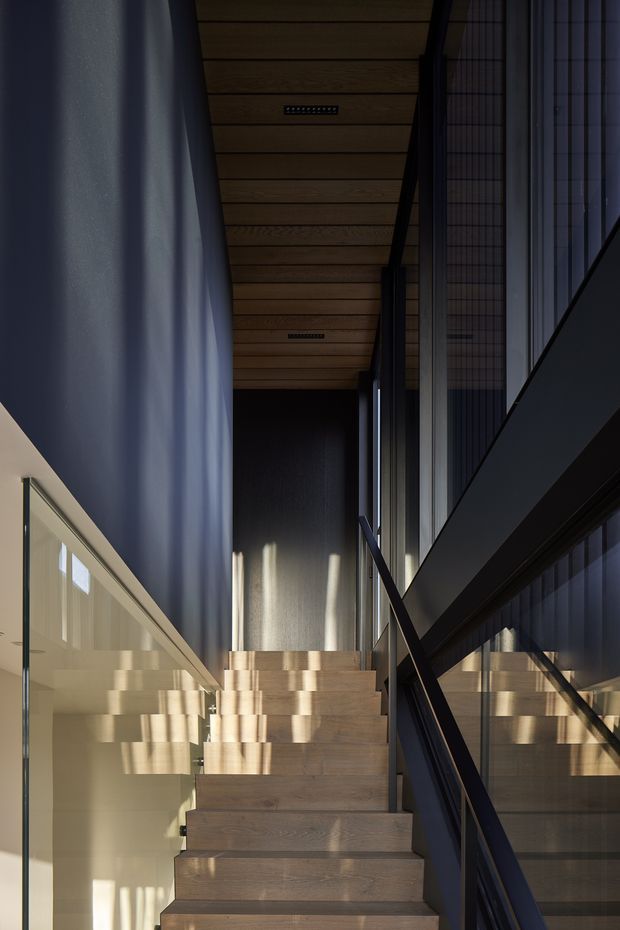 A dramatic contemporary interior stairway with floating timber steps ascending between dark-framed glazing and reflective glass panels. The ceiling is clad in warm timber boards with recessed linear lights, while strong sunlight creates geometric reflections across the stairs and adjacent walls.