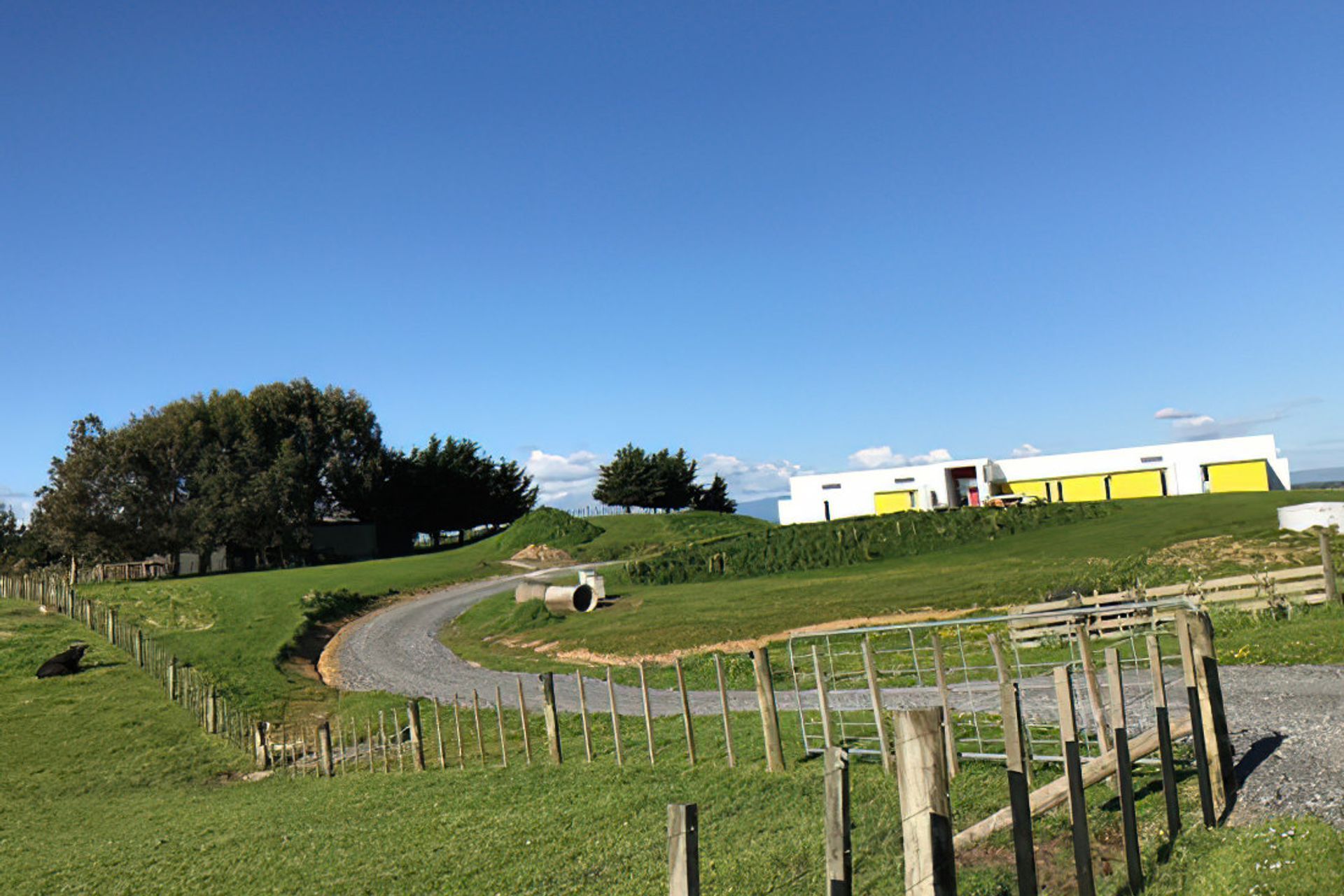 Jackie & Craig Happy in Rongotea